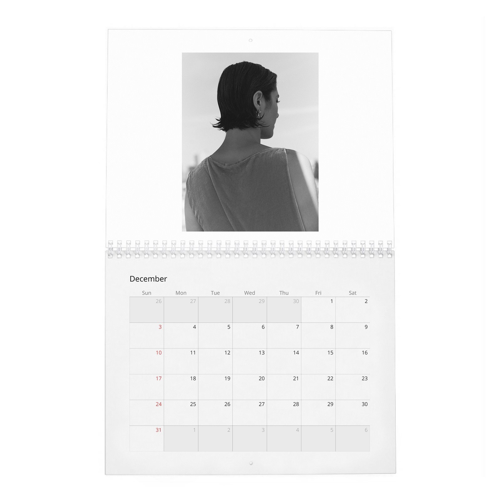 12 Mary Elizabeth Winstead - Laterals 2027 Wall Calendar