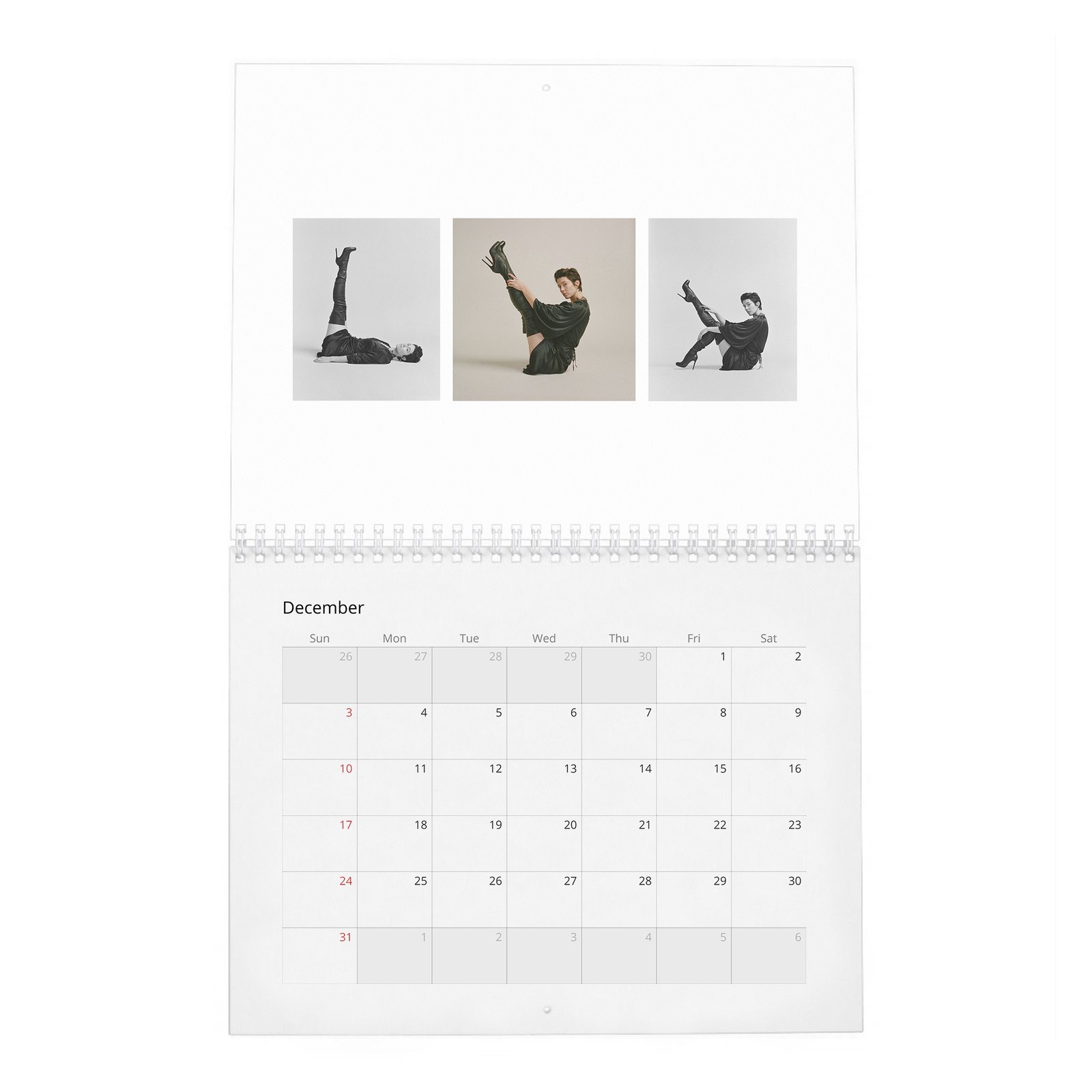 12 Mary Elizabeth Winstead - She Loves Playing The Badass 2027 Wall Calendar