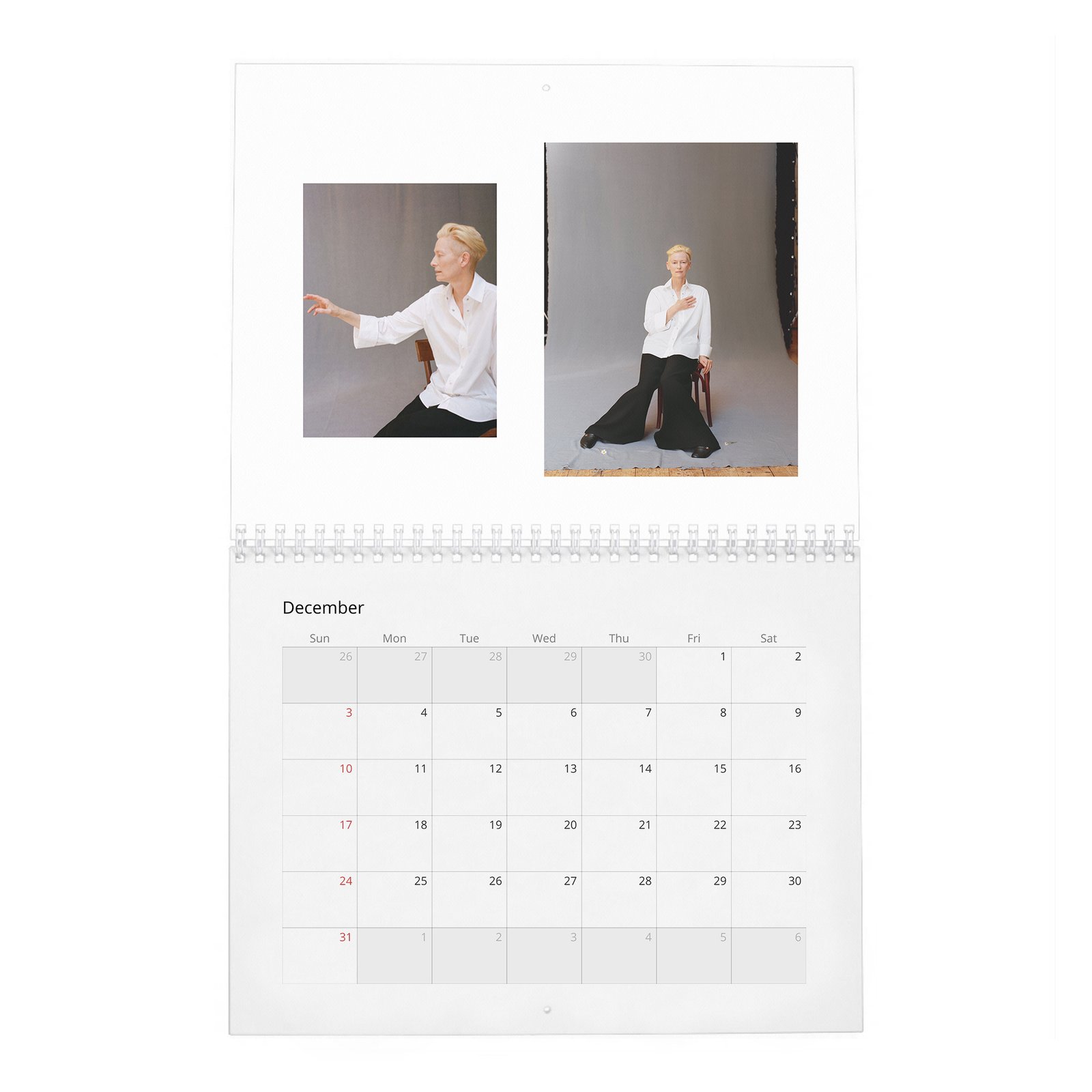 12 Tilda Swinton - Cine-Nerd 2027 Wall Calendar