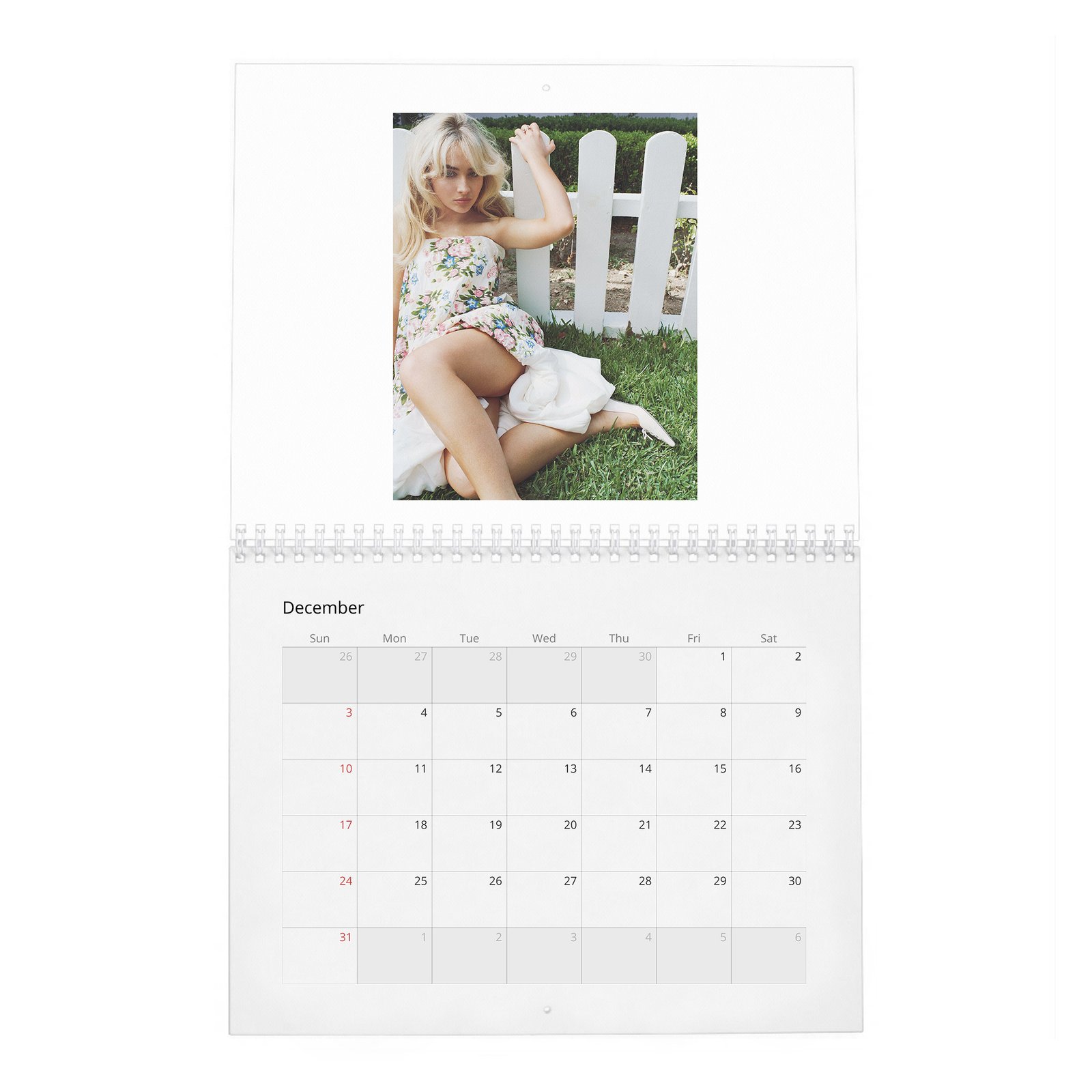 12 Sabrina Carpenter - Obsessed 2027 Wall Calendar