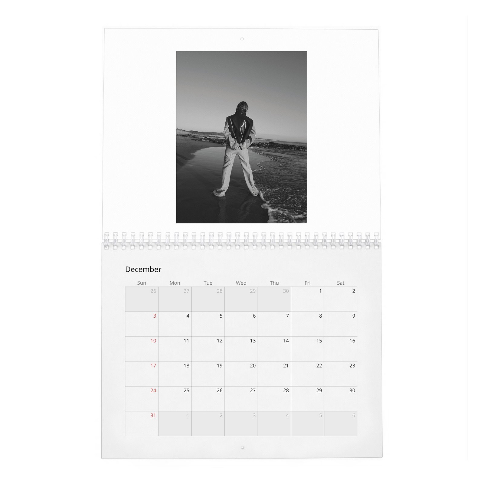 12 Alba Babtista - Embrancing Life 2027 Wall Calendar