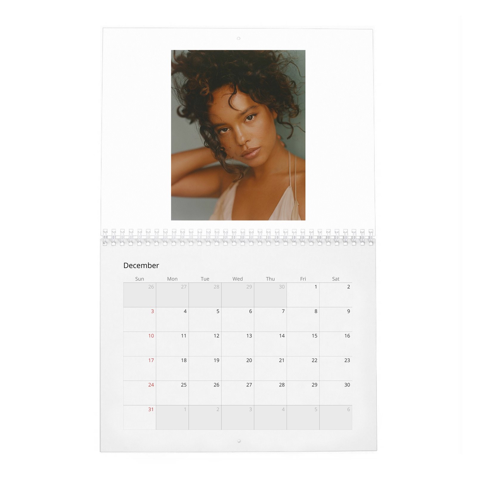 12 Alisha Boe - Wonderland 2027 Wall Calendar