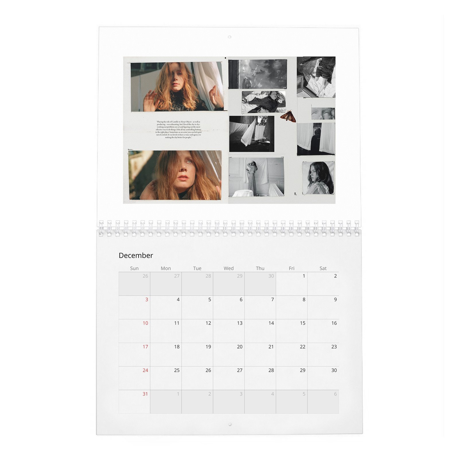 12 Amy Adams - So It Goes 2027 Wall Calendar