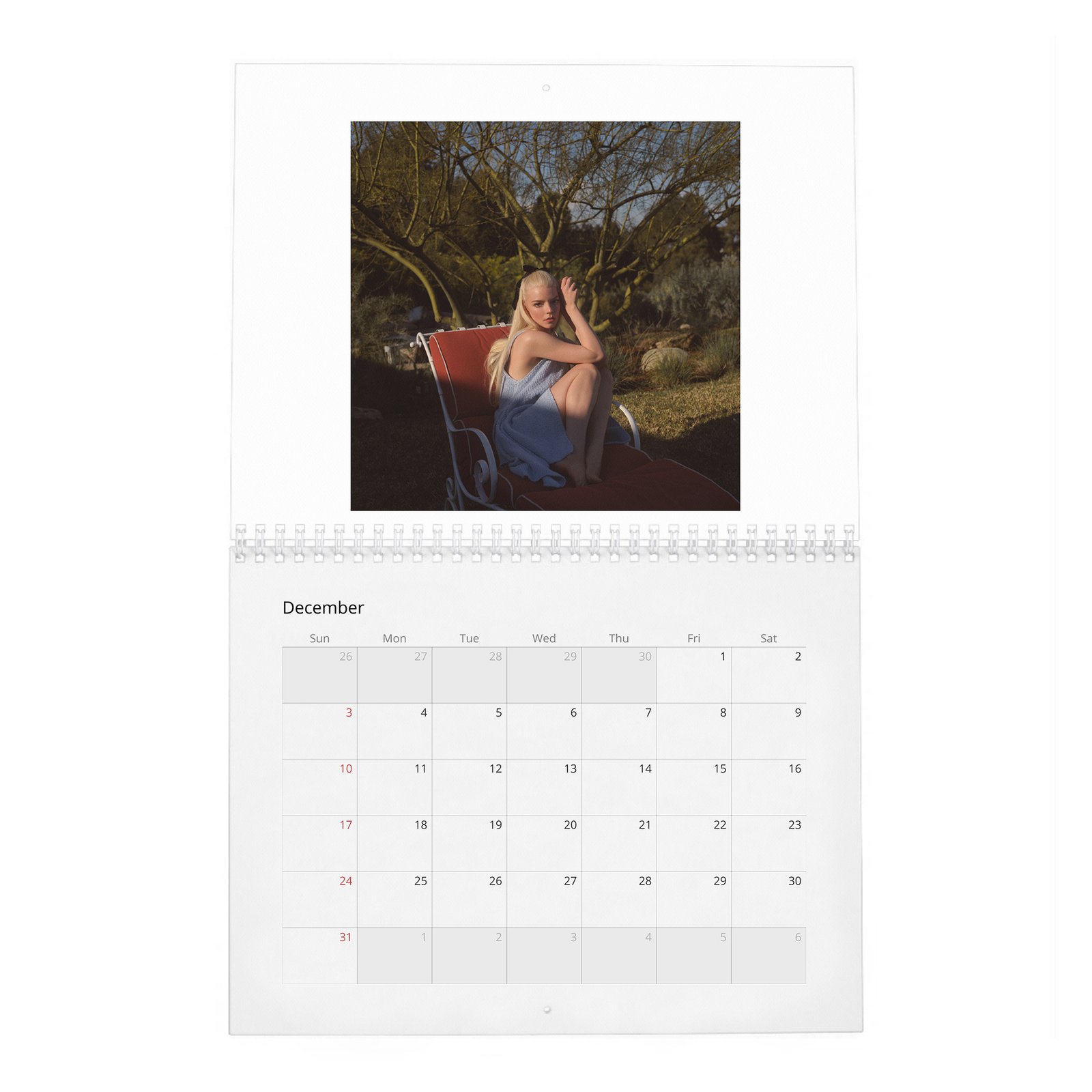 12 Anya Taylor-Joy - Falling In Love 2027 Wall Calendar