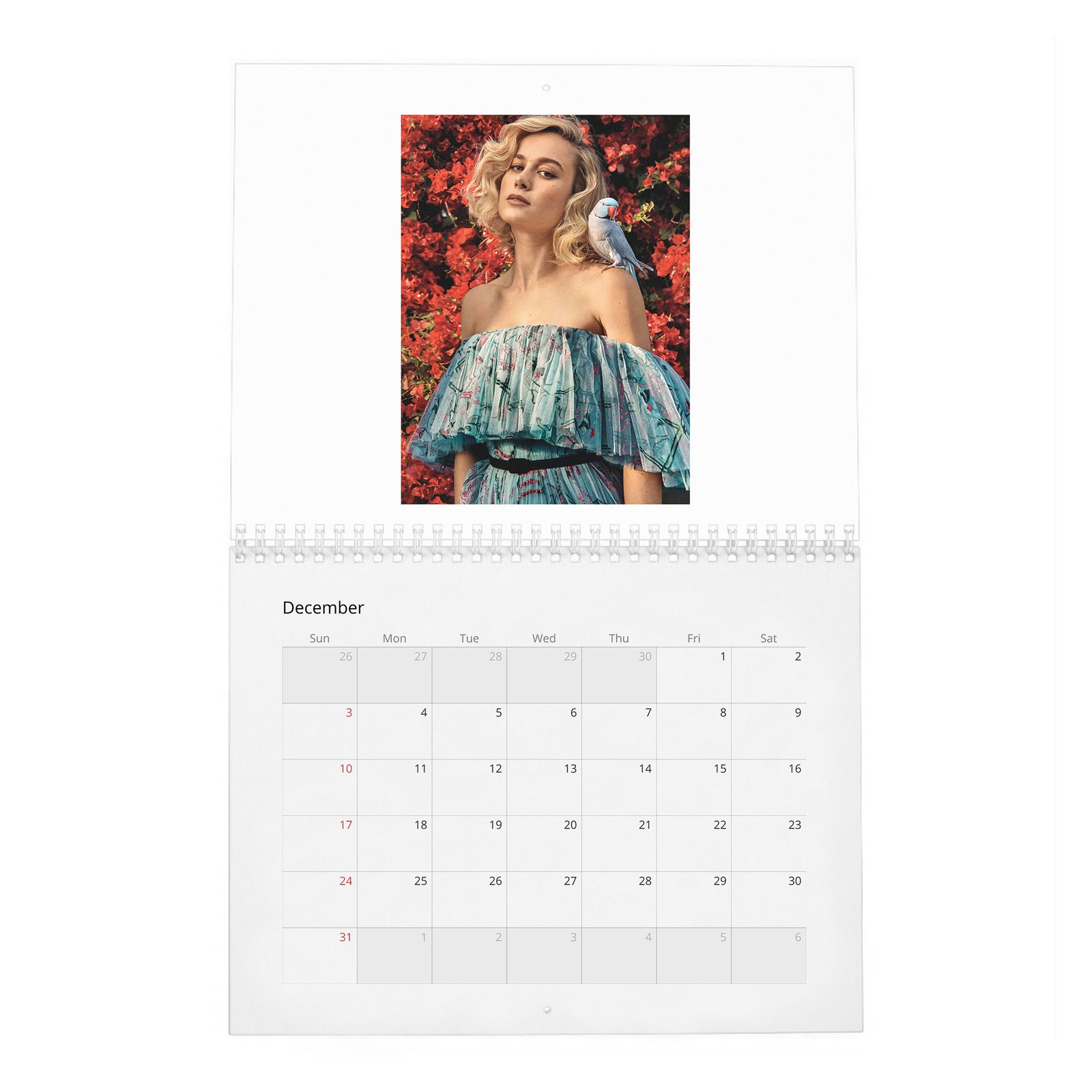 12 Brie Larson - Ready To Kick Some Ass 2027 Wall Calendar