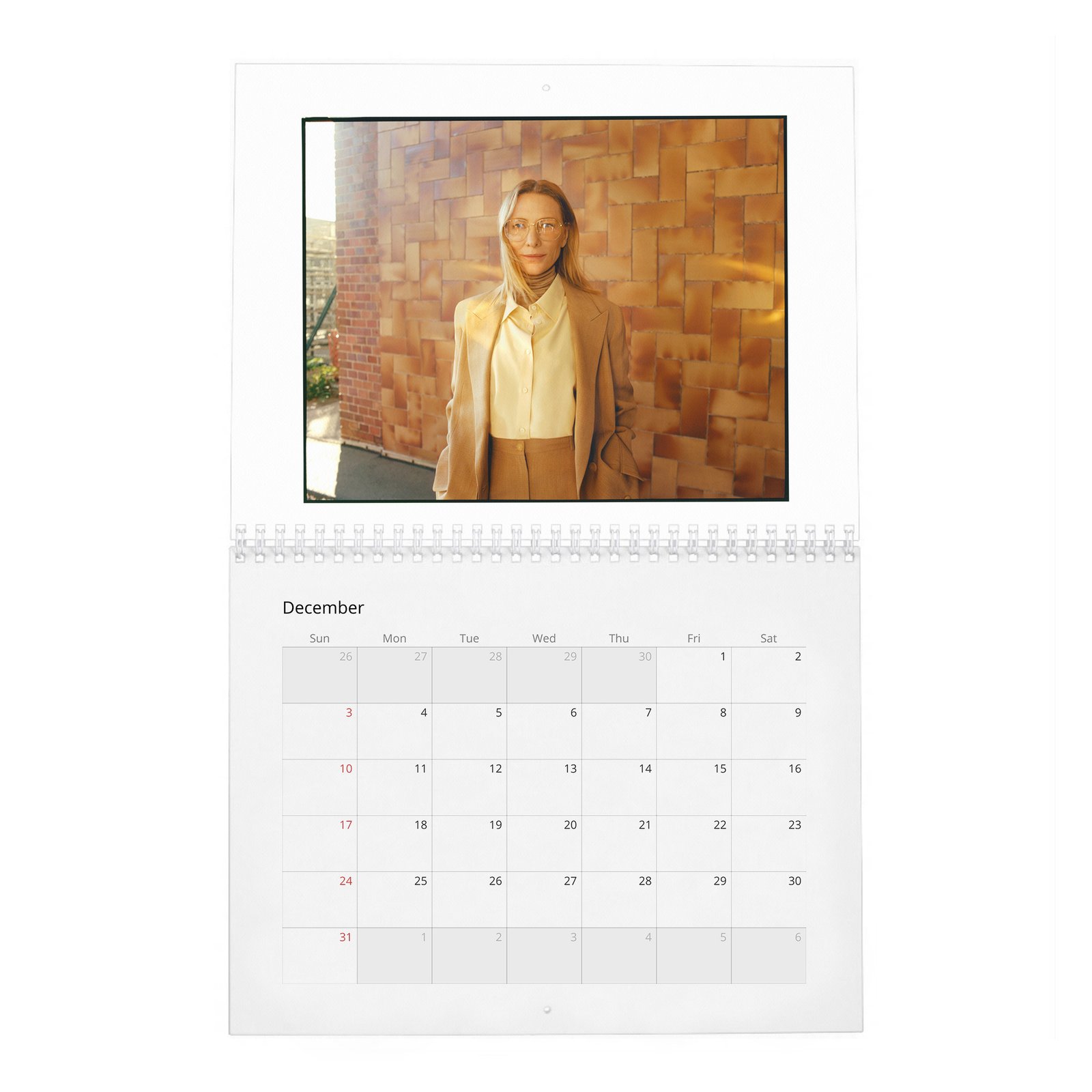12 Cate Blanchett - Leading Light 2027 Wall Calendar
