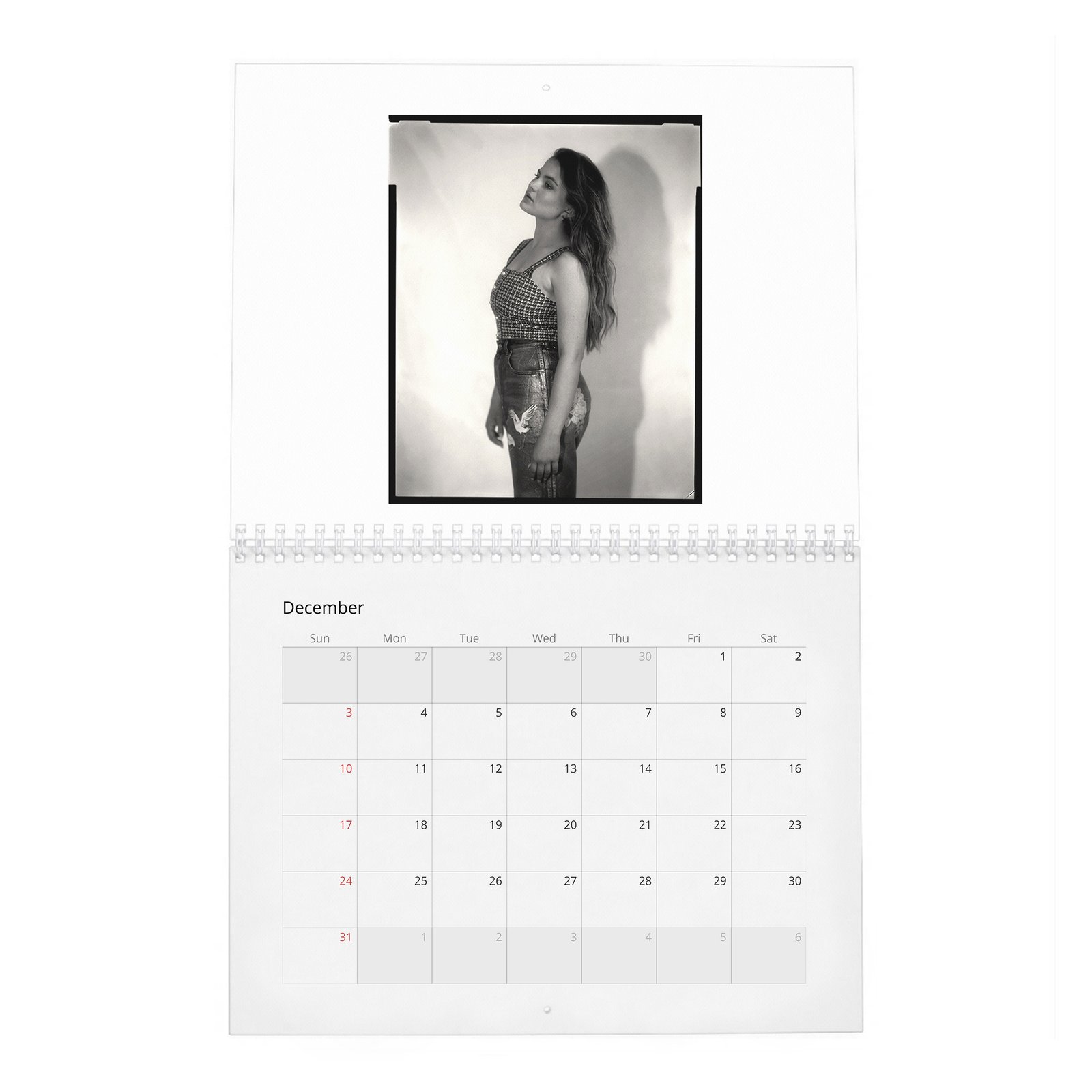 12 Chiara Aurelia - Aptitude And Ease 2027 Wall Calendar