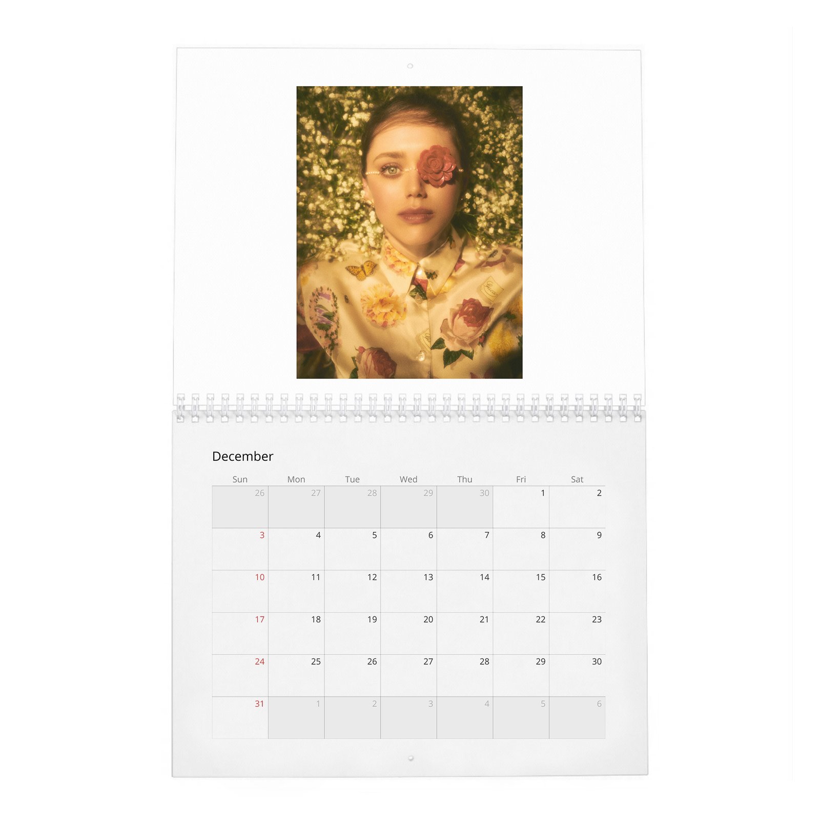 12 Daisy Head - Perseverance And Limitlessness 2027 Wall Calendar