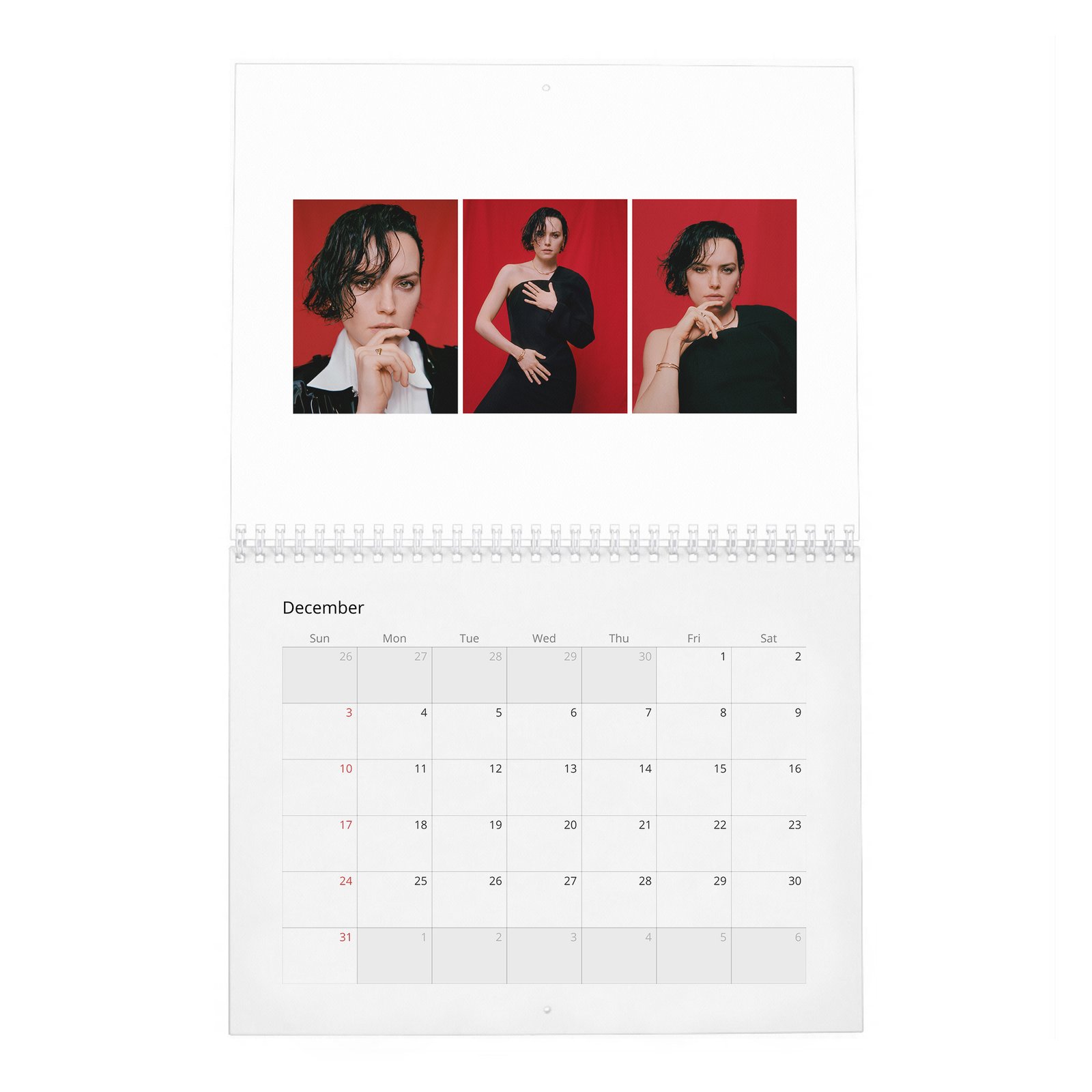 12 Daisy Ridley - Trailblazer In Her Own Right 2027 Wall Calendar