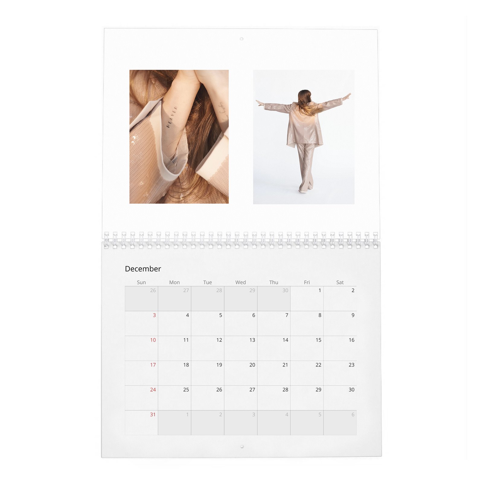 Dakota Johnson - Finding Her Light 2027 Wall Calendar