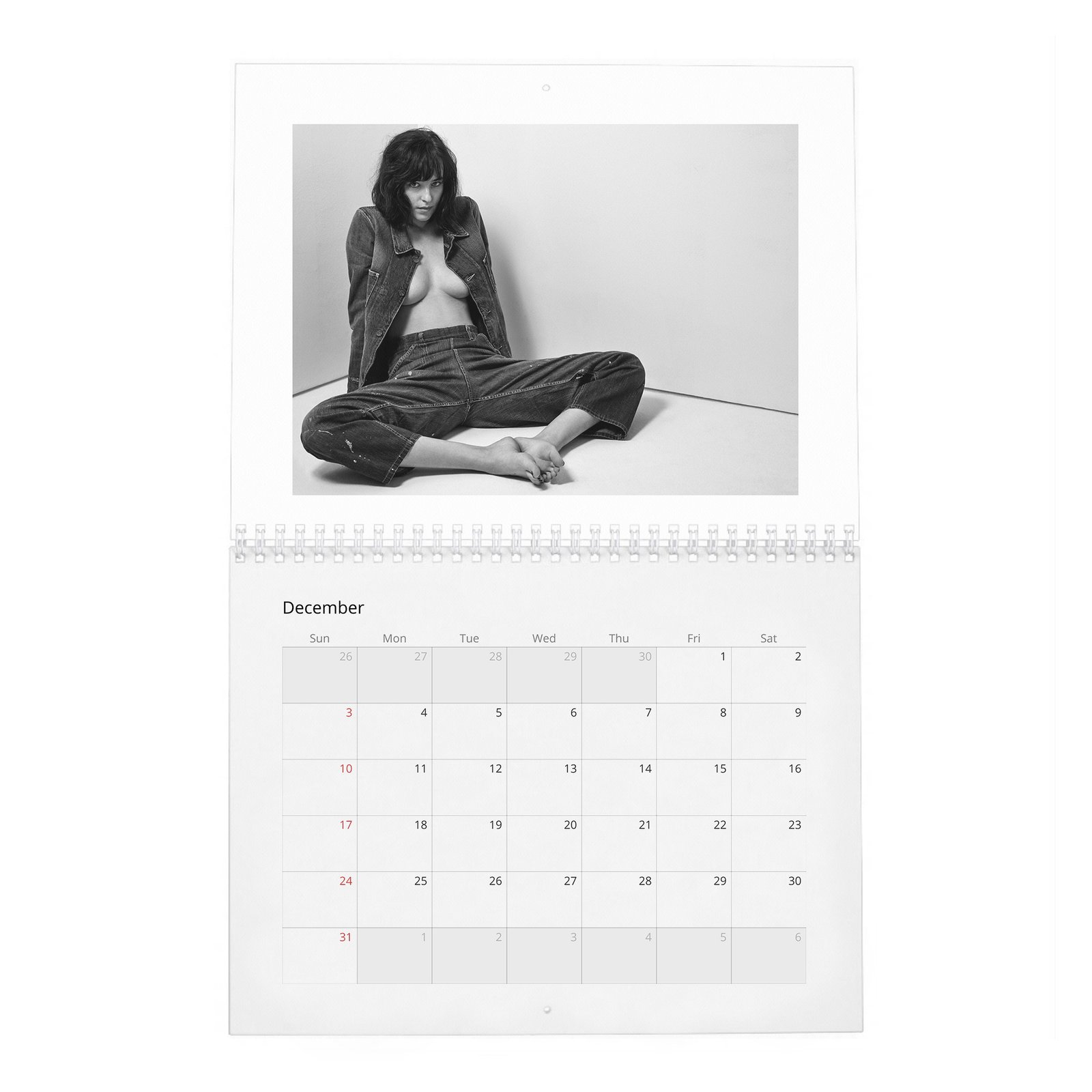 Dakota Johnson - Present A New Vision 2027 Wall Calendar
