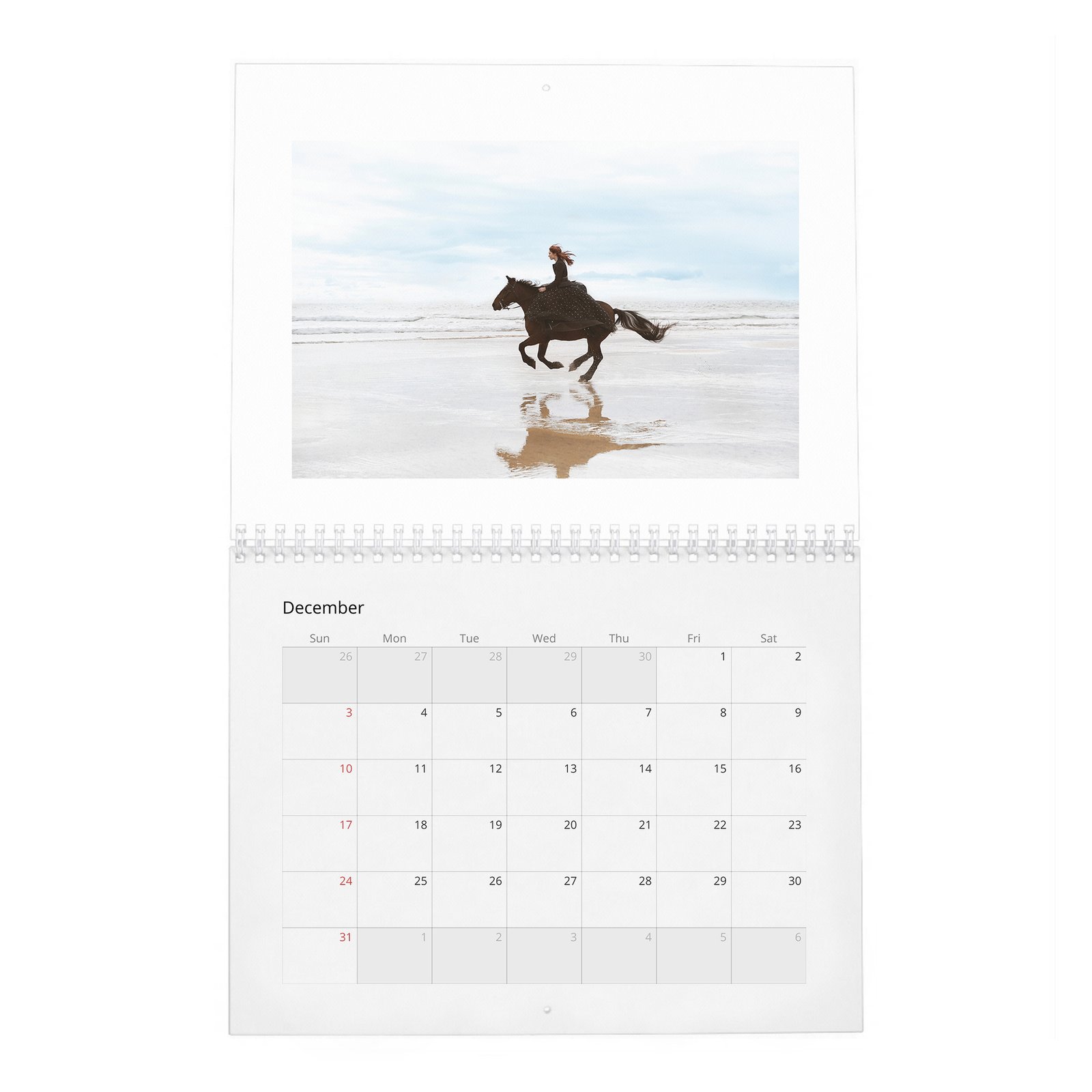 12 Eleanor Tomlinson - O Brave New World 2027 Wall Calendar