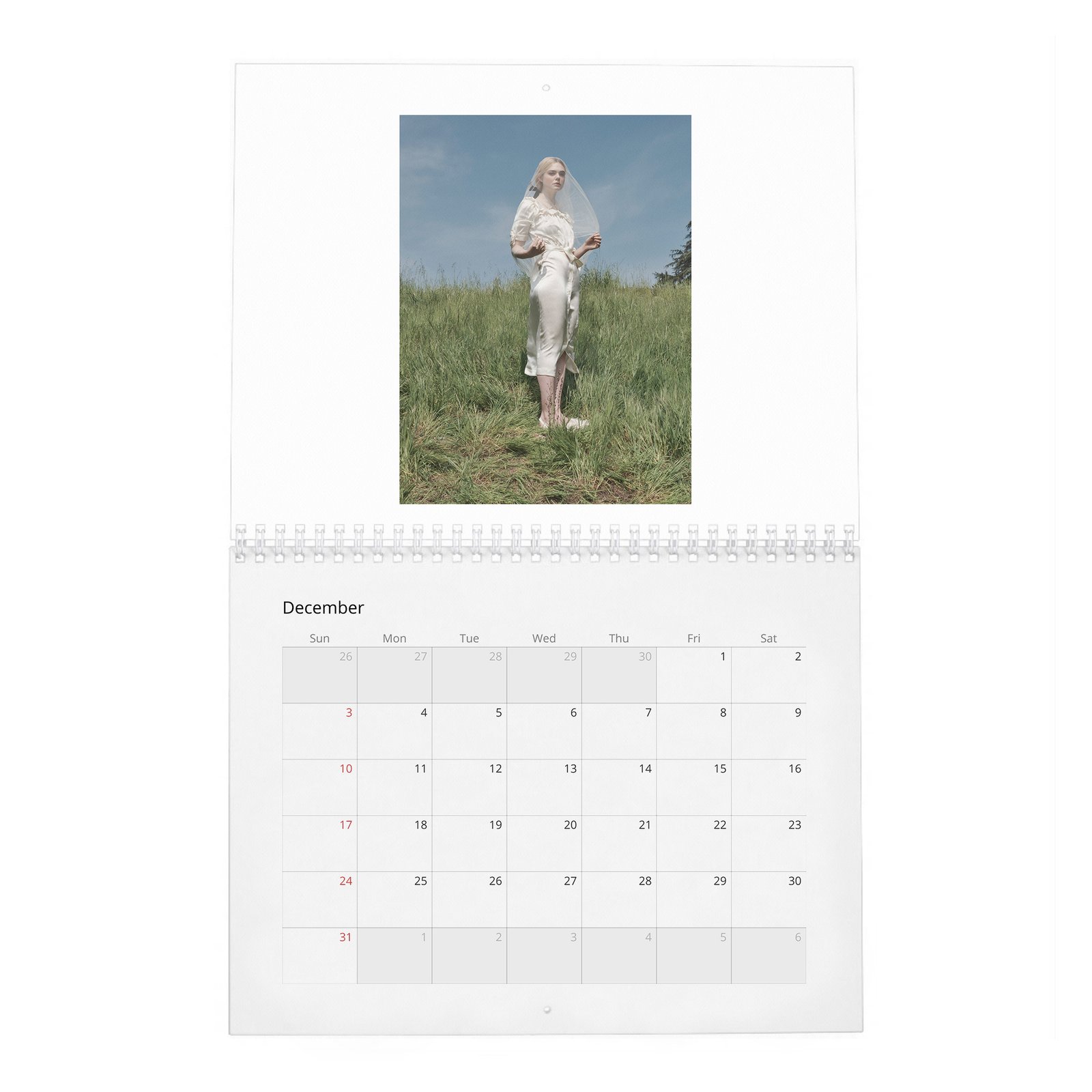 Elle Fanning - Heavenly Creature 2027 Wall Calendar