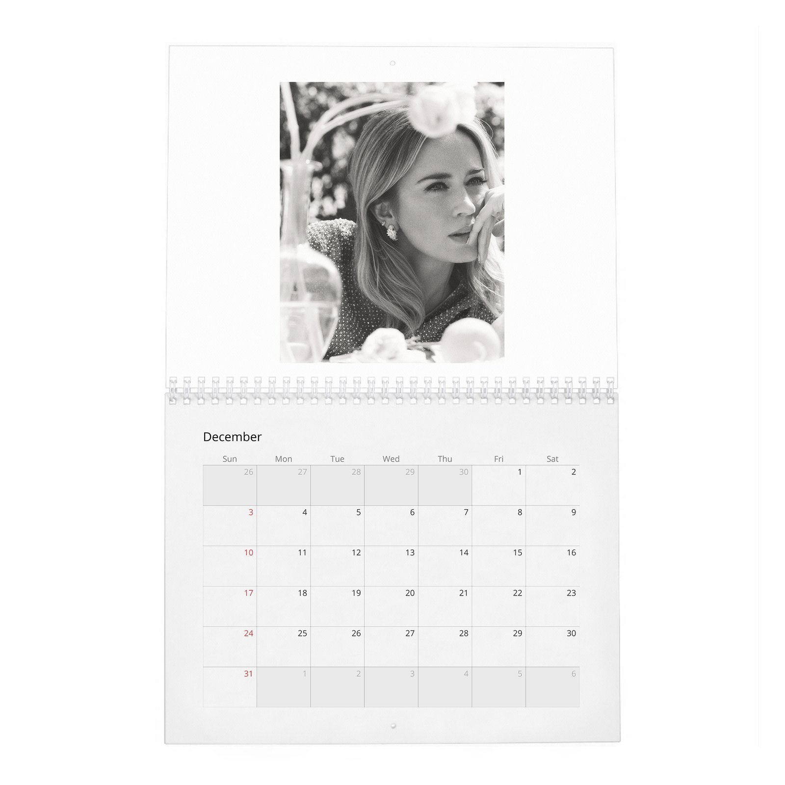 12 Emily Blunt - In Full Bloom 2027 Wall Calendar