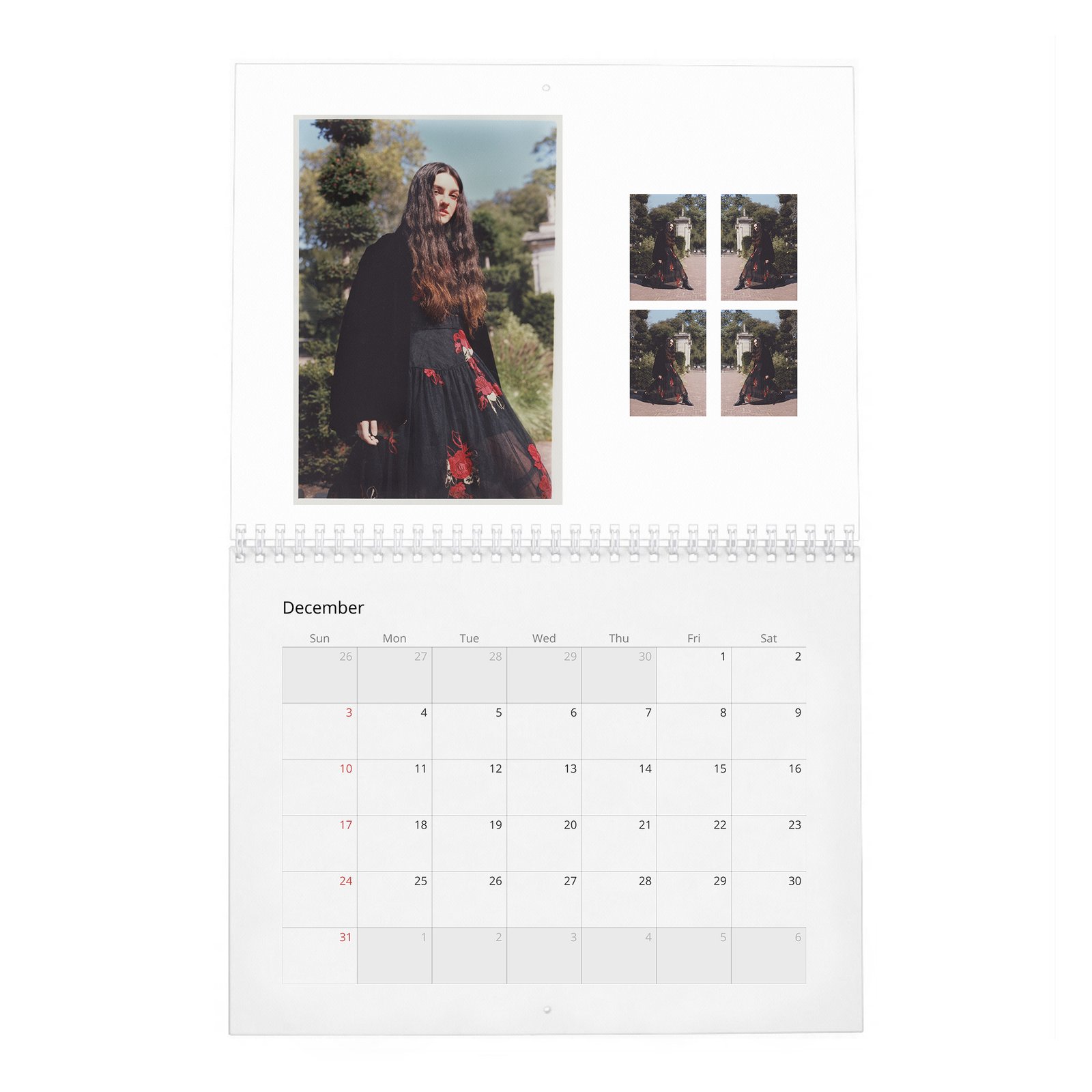 12 Emily Carey - Rose And Ivy 2027 Wall Calendar