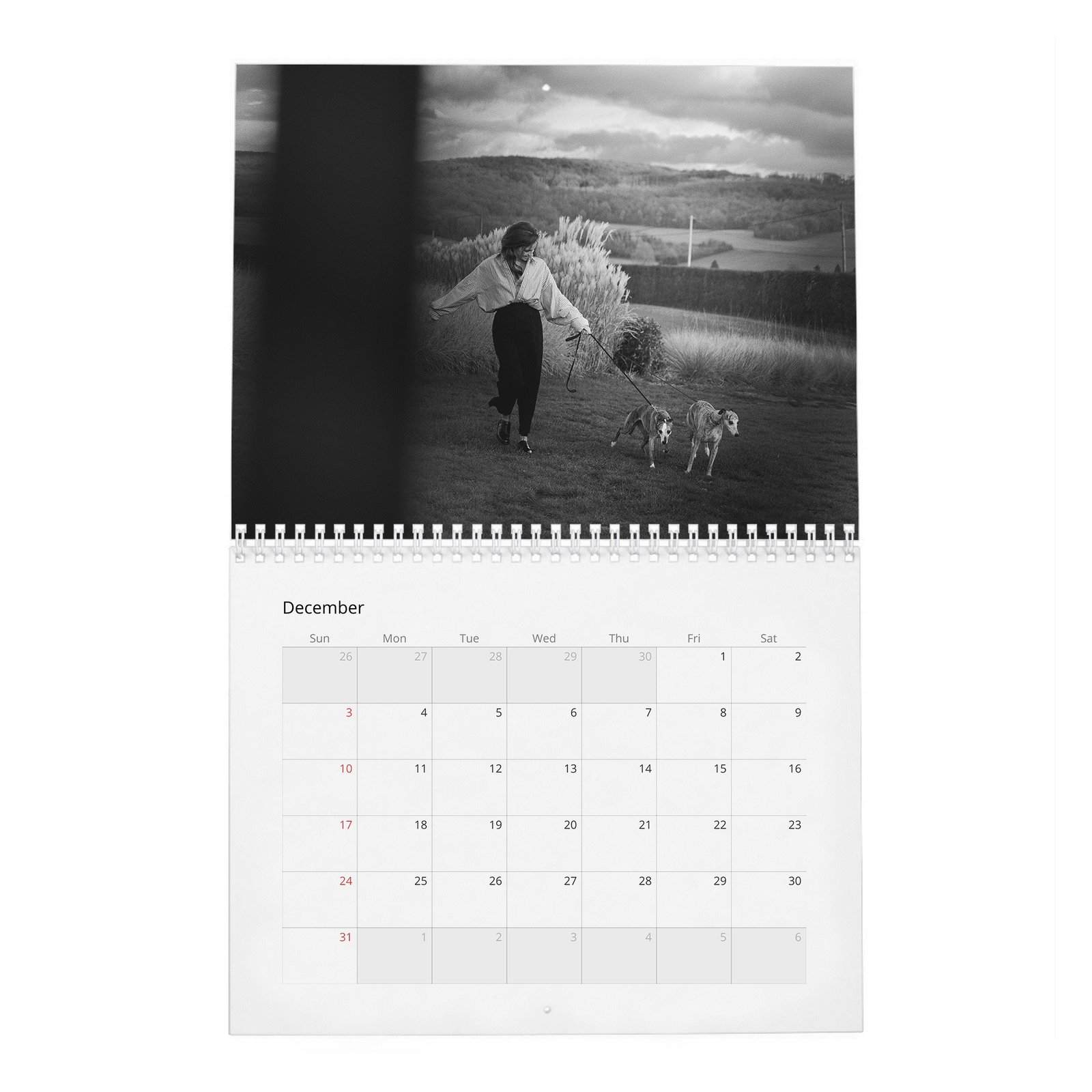 Emma Watson - Voice For Change 2027 Wall Calendar