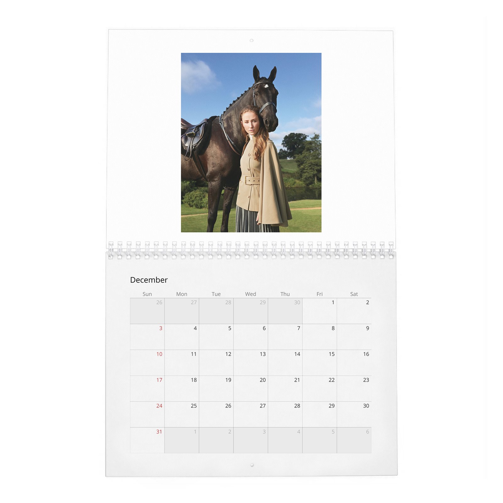 12 Erin Doherty - Royal Academy 2027 Wall Calendar