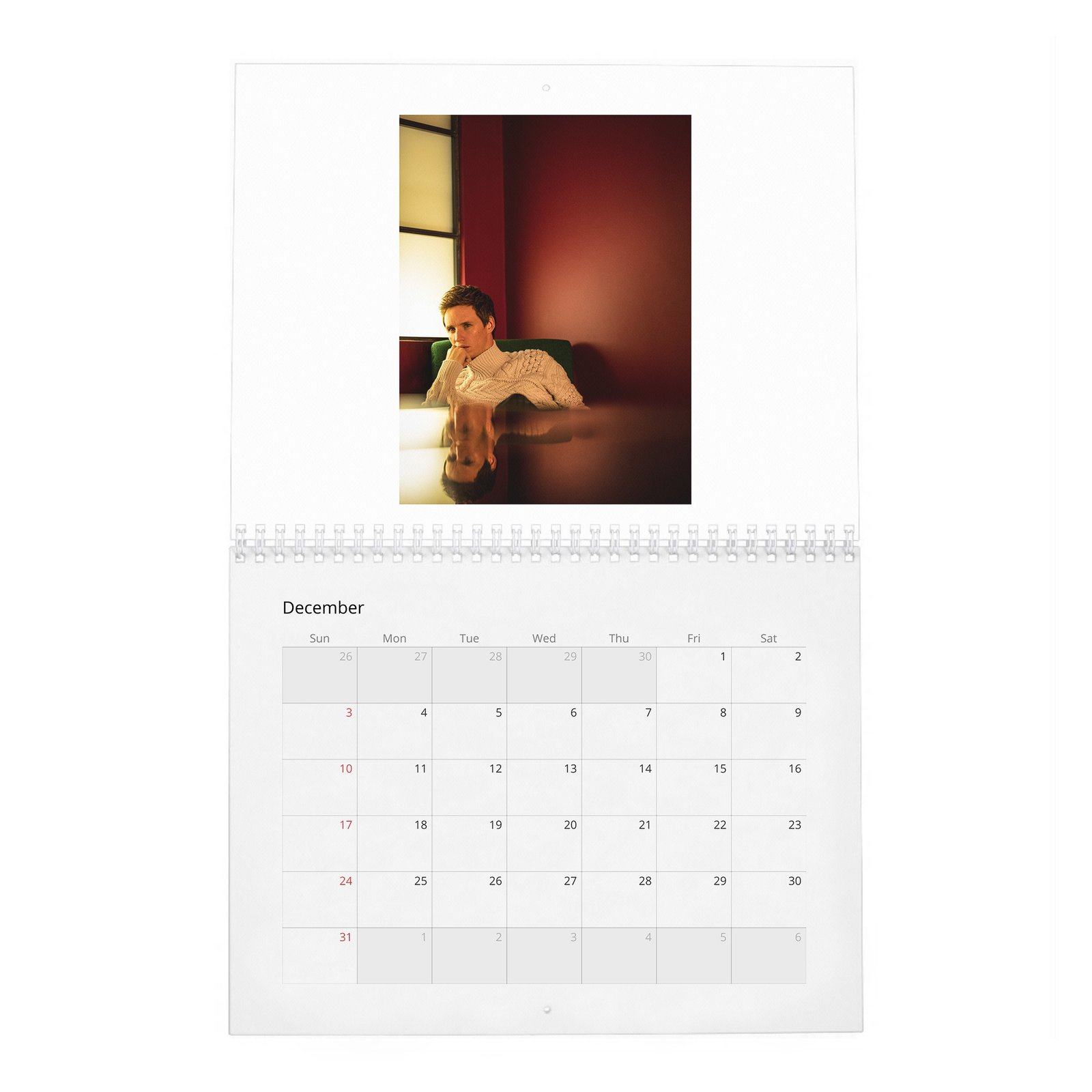 Eddie Redmayne - In Theory It Has Everything 2027 Wall Calendar