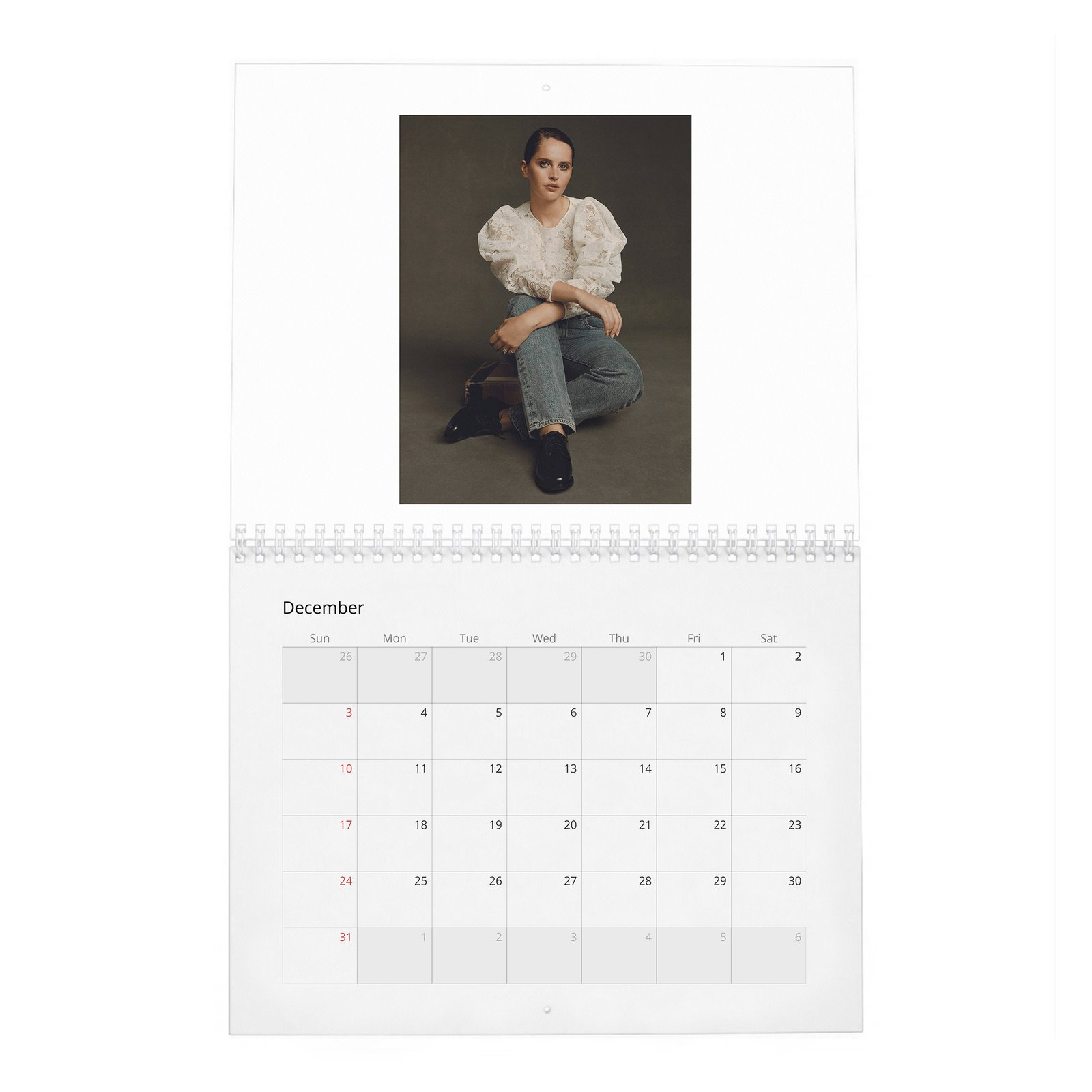 Felicity Jones - Rebel With A Cause 2027 Wall Calendar