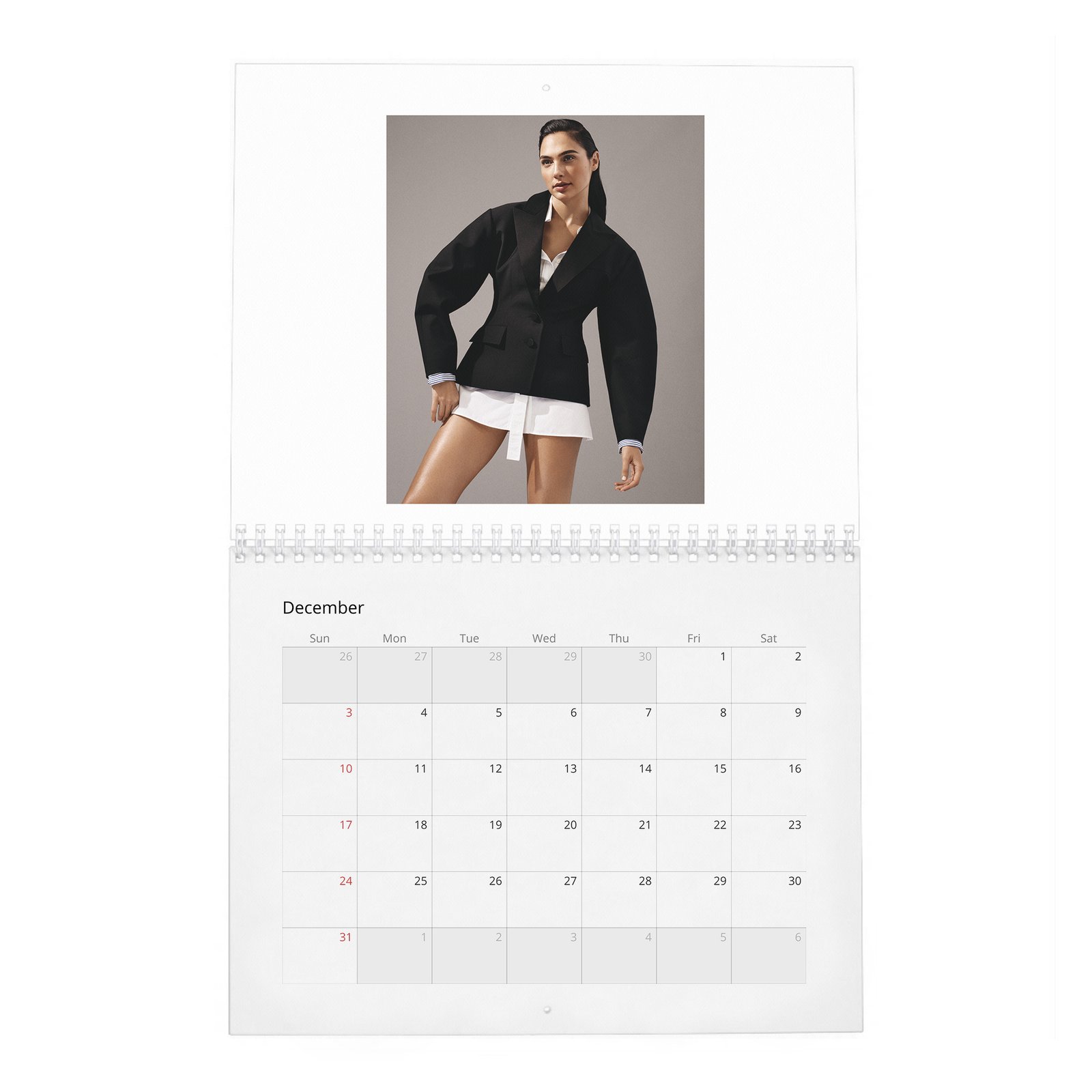 12 Gal Gadot - Real-Life Heroine 2027 Wall Calendar
