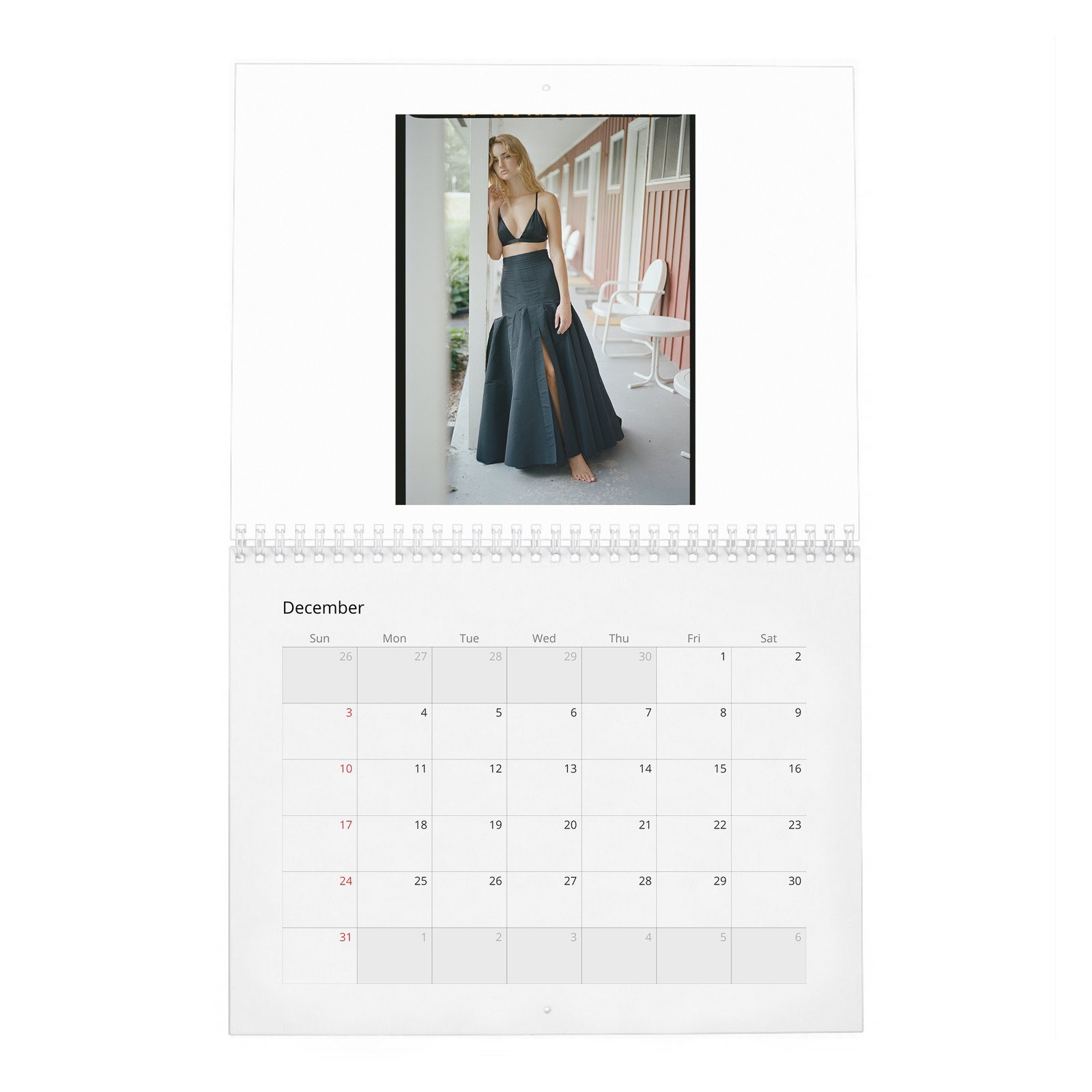12 Grace Van Patten - Laterals 2027 Wall Calendar