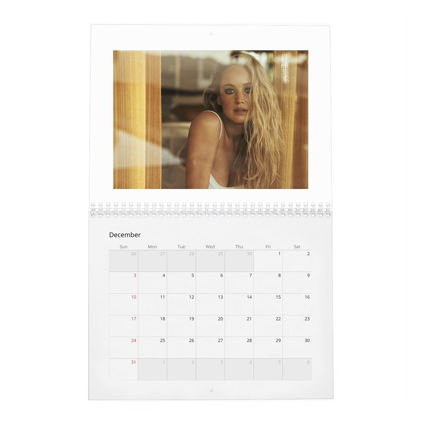 12 Jennifer Lawrence - Does It Her Way 2027 Wall Calendar