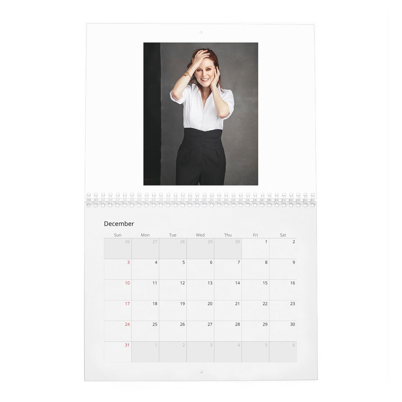 12 Julianne Moore - A Singular Woman 2027 Wall Calendar