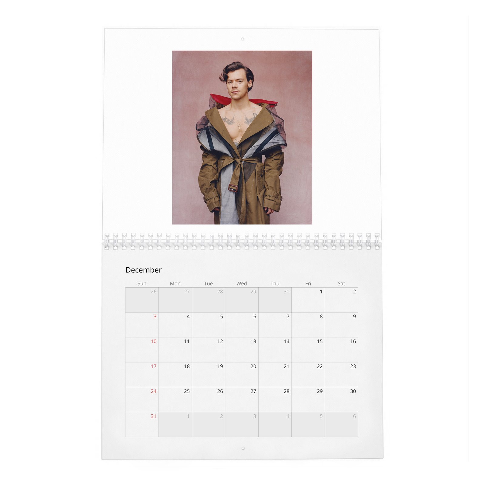 12 Harry Styles - Playtime 2027 Wall Calendar