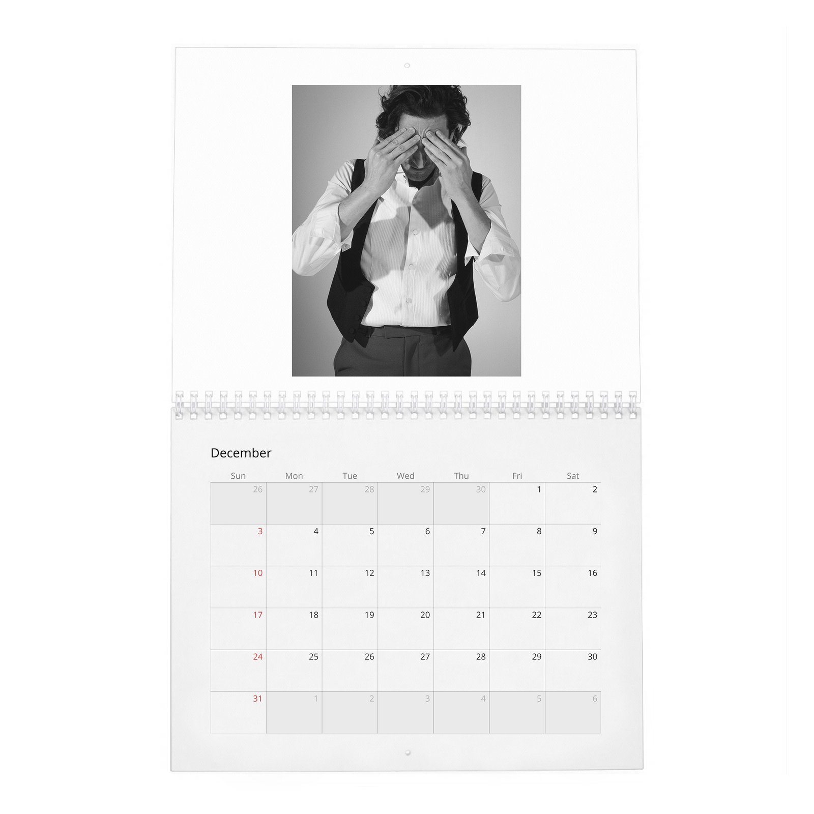 12 Adrien Brody - The Amazing Adrian 2027 Wall Calendar