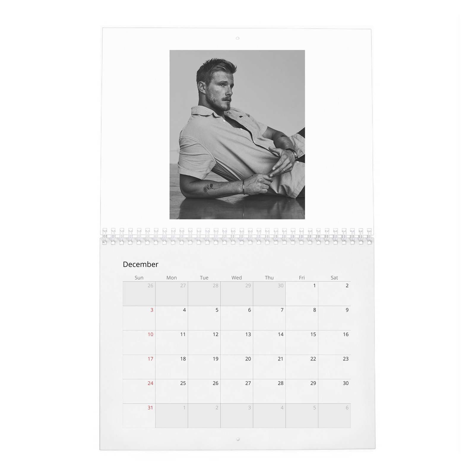 12 Alexander Ludwig - Lucky In Love 2027 Wall Calendar