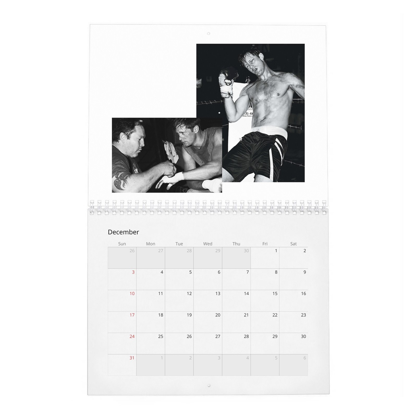 12 Alexander Skarsgard - Knockout At Fortune Gym 2027 Wall Calendar