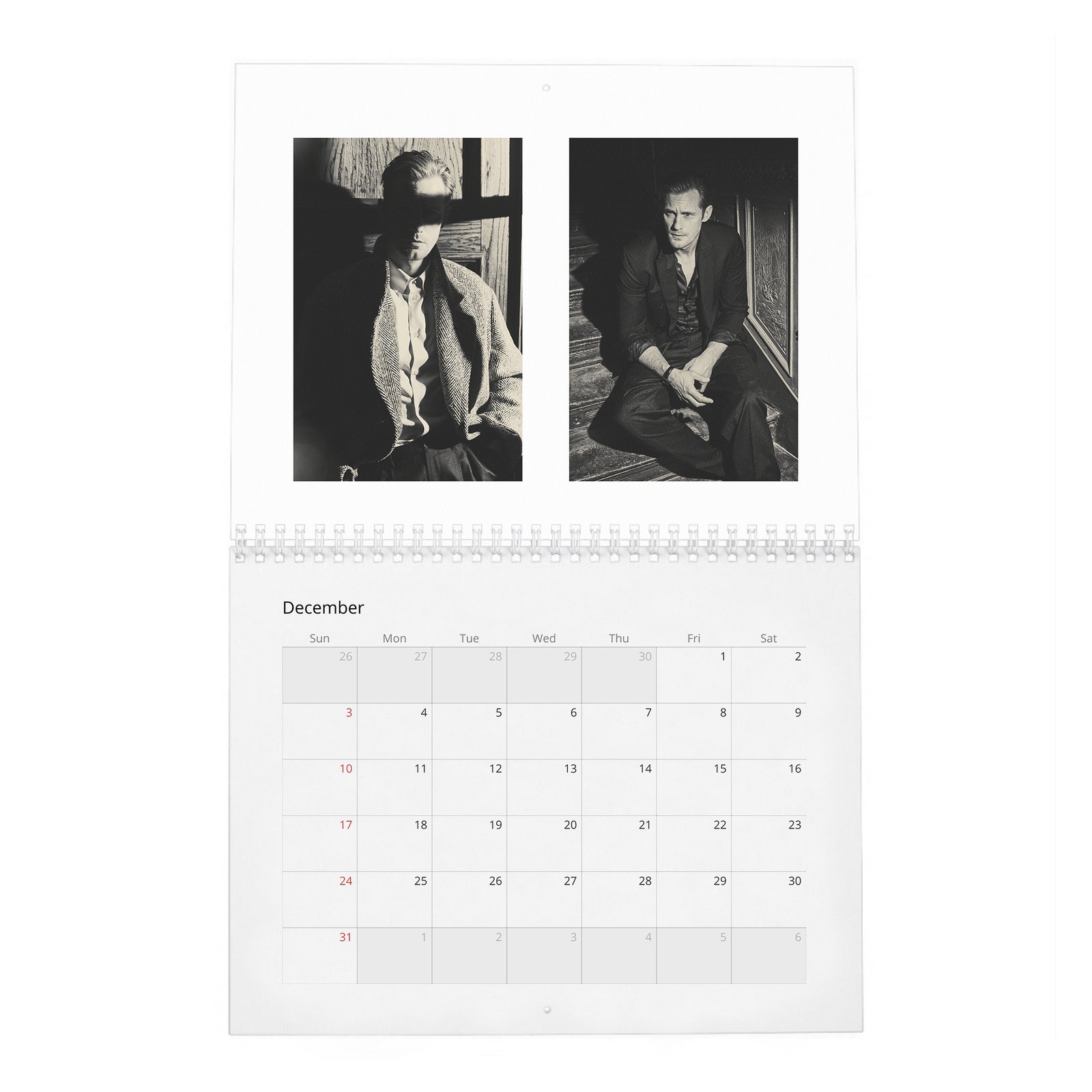 Alexander Skarsgard - Top Swede 2027 Wall Calendar
