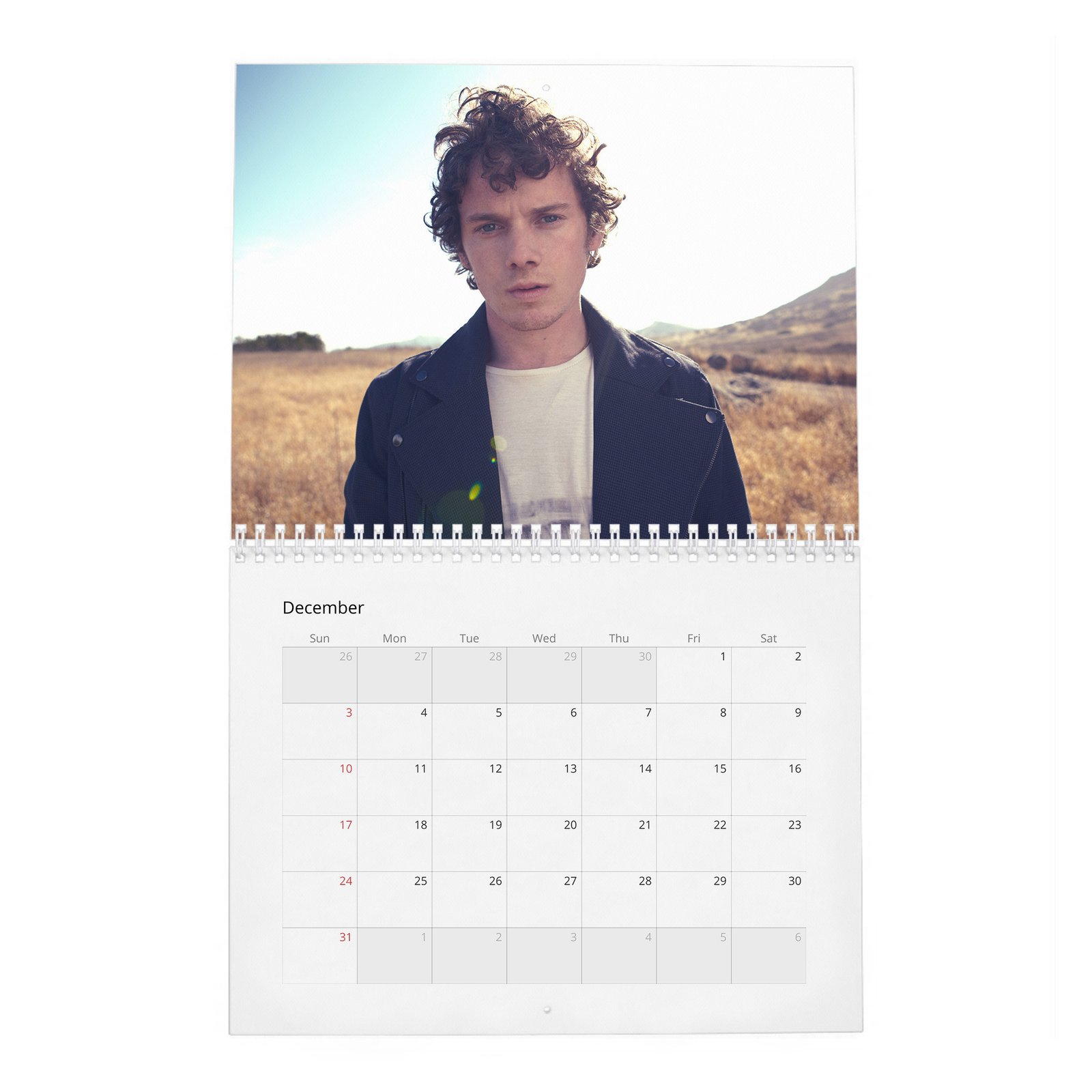 12 Anton Yelchin - Flaunt 2027 Wall Calendar