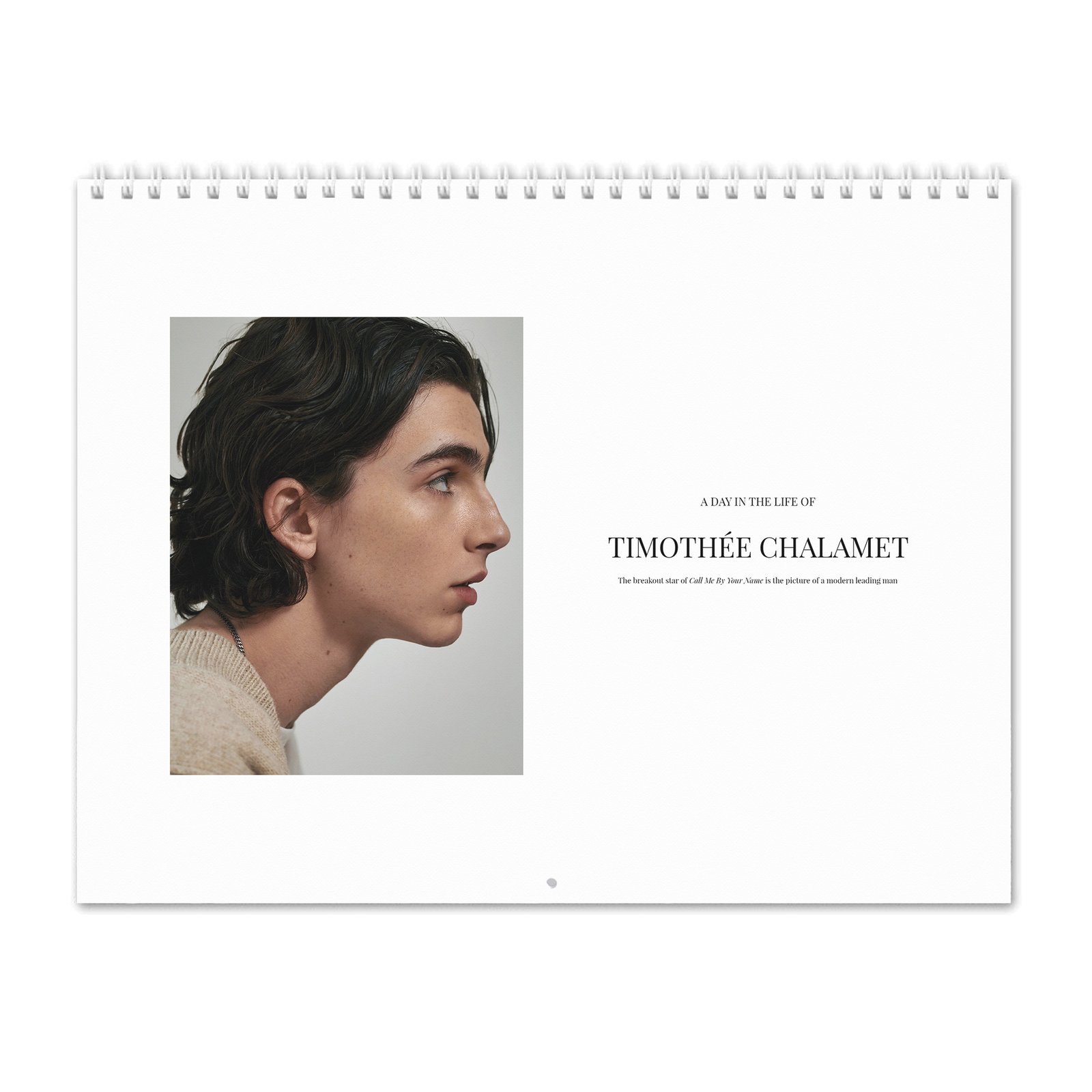 00 Timothée Chalamet - A Day In The Life Of 2027 Wall Calendar