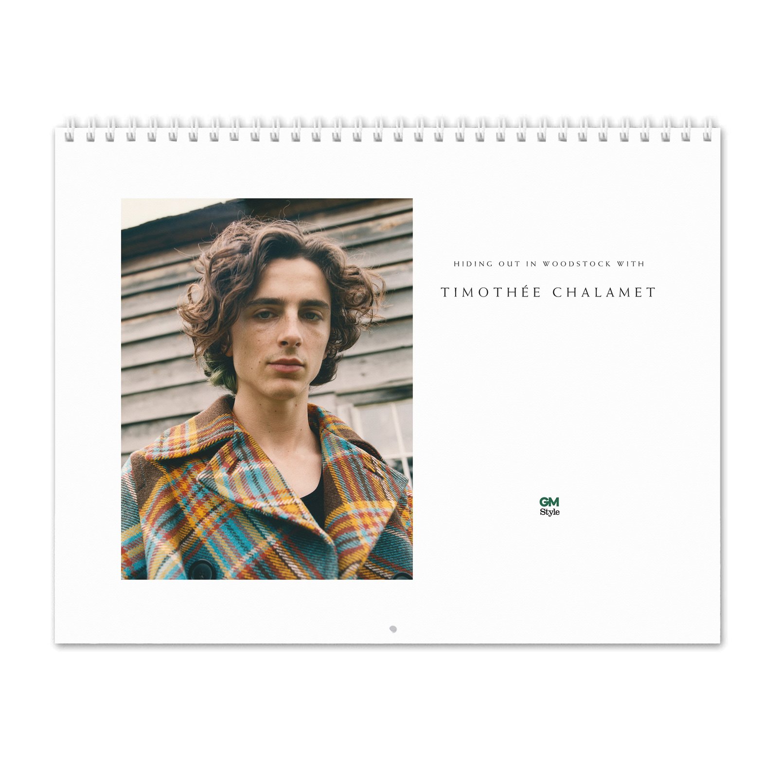 Timothée Chalamet - Hiding Out In Woodstock With 2027 Wall Calendar