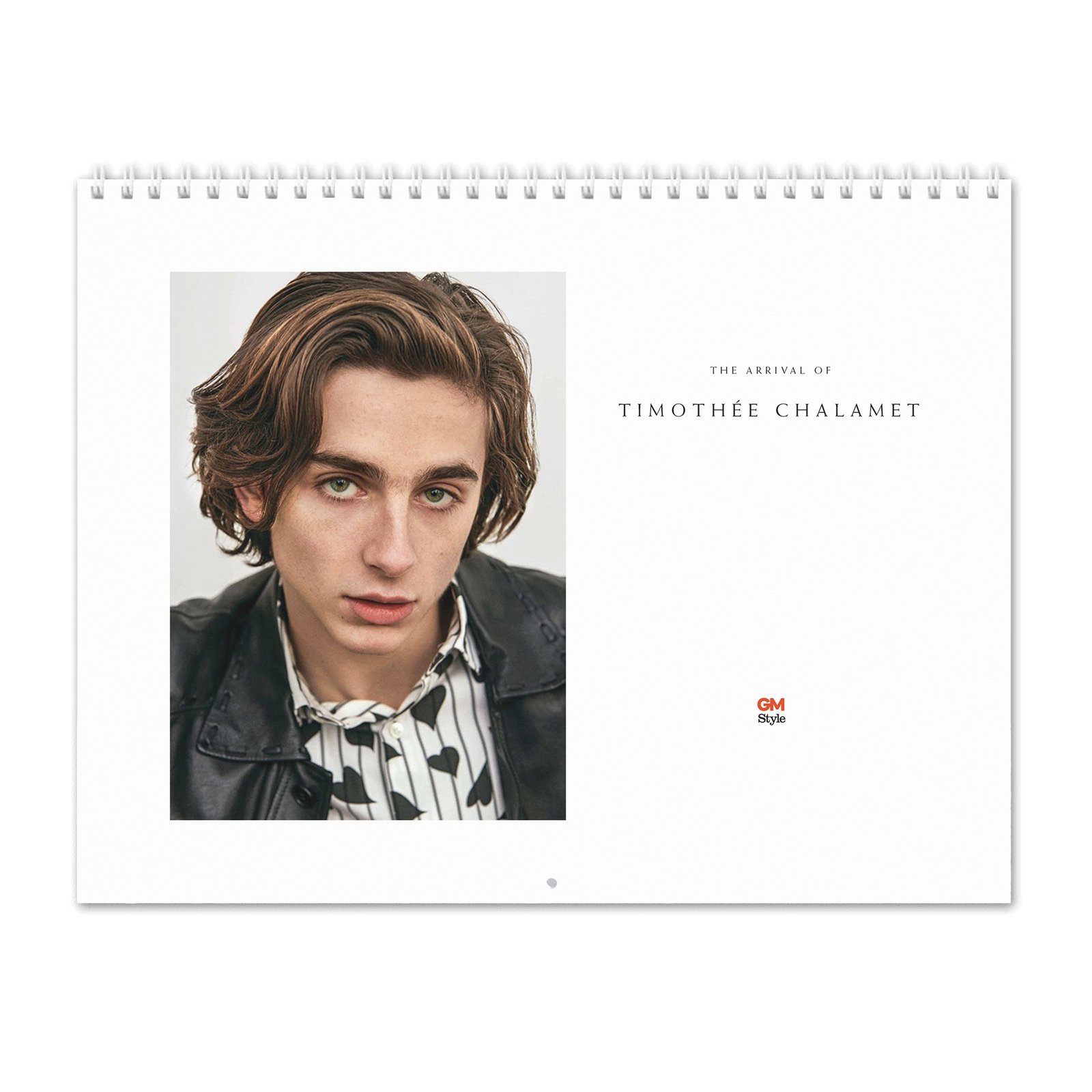 Timothée Chalamet - The Arrival Of 2027 Wall Calendar