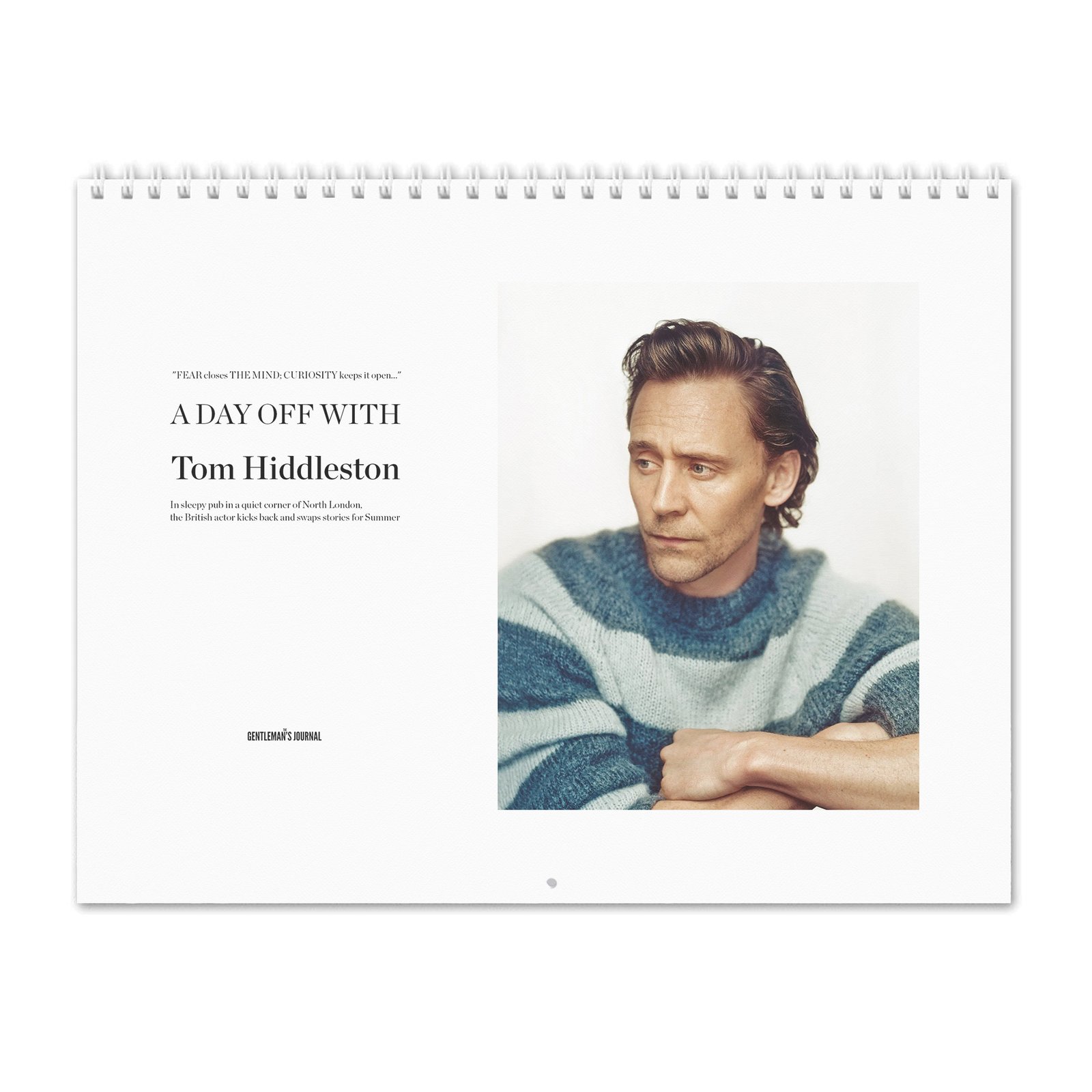 Tom Hiddleston - A Day Off 2027 Wall Calendar