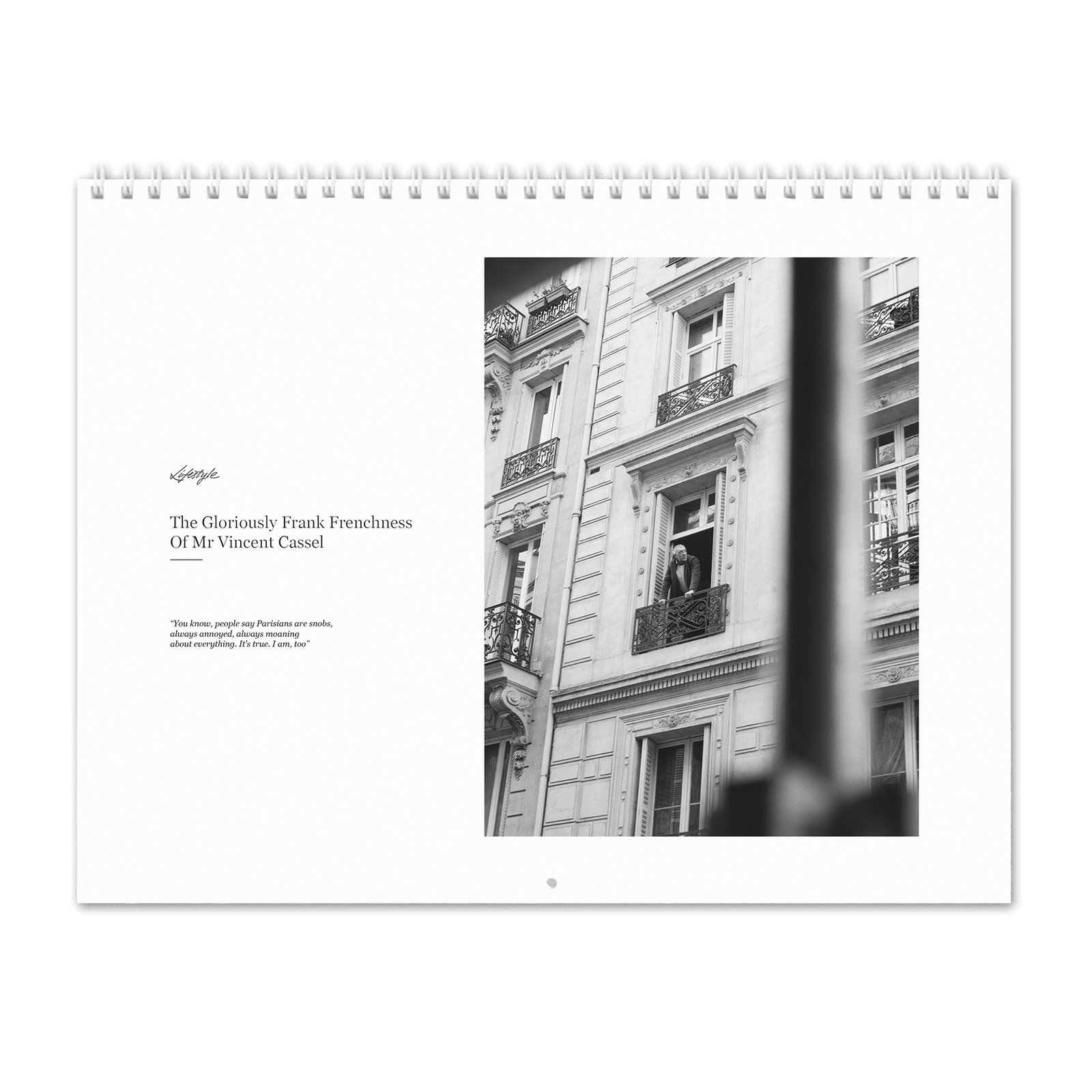 00 Vincent Cassel - Mr. Vincent Cassel 2027 Wall Calendar