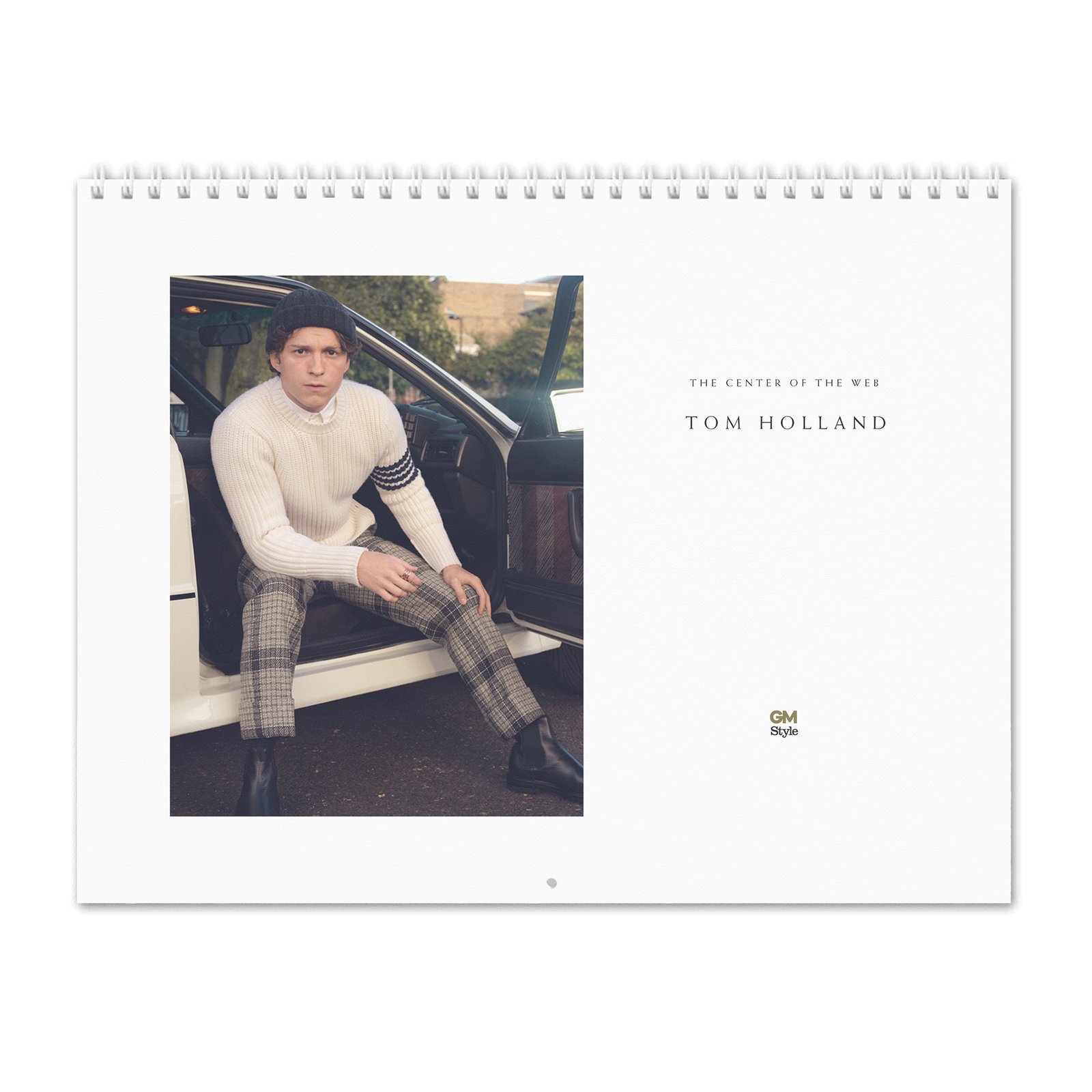 Tom Holland - The Center Of The Web 2027 Wall Calendar