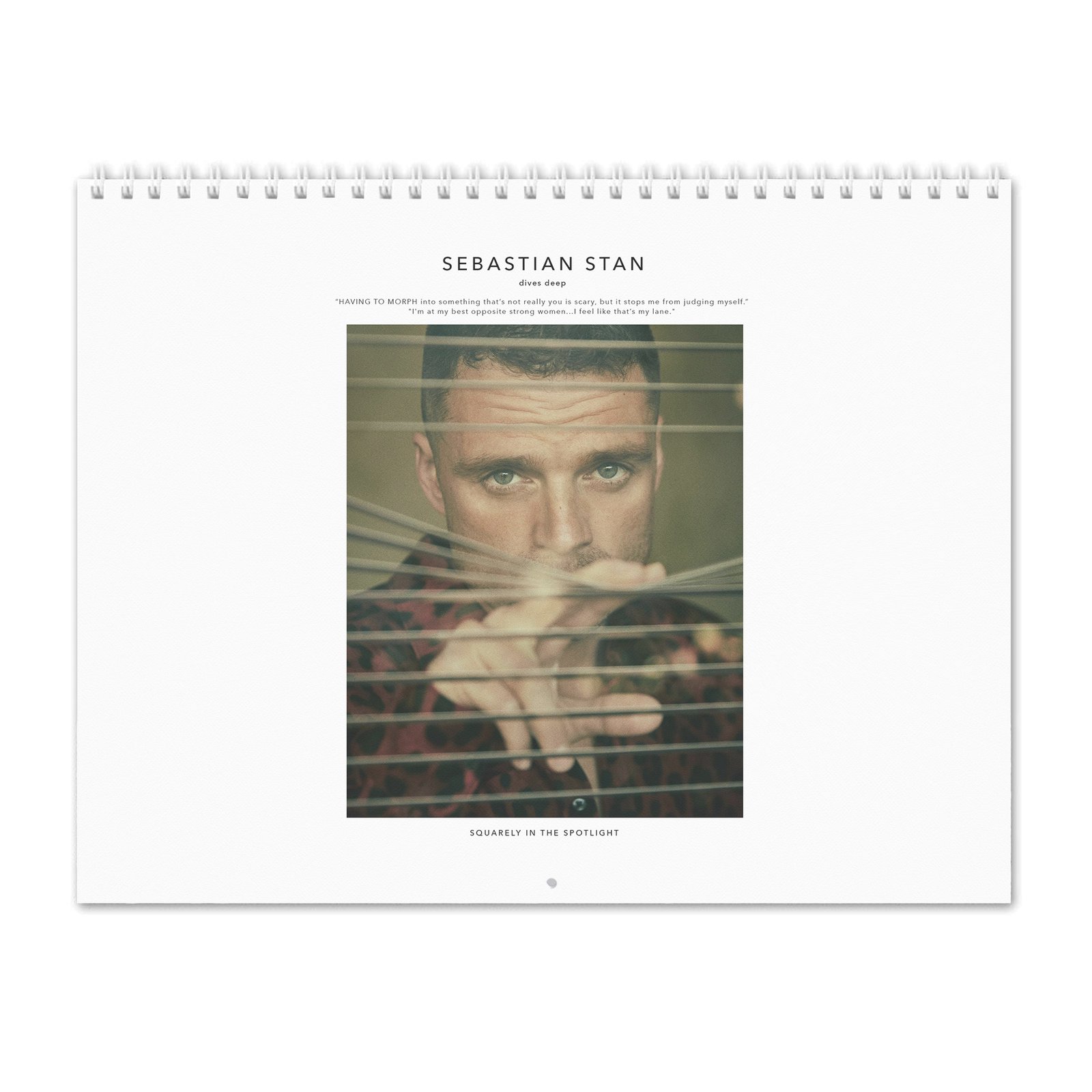 00 Sebastian Stan - Dives Deep 2027 Wall Calendar