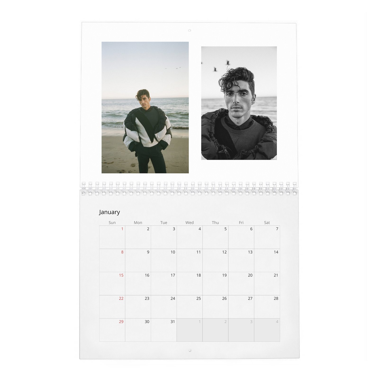Taylor Zakhar Perez - Content 2027 Wall Calendar