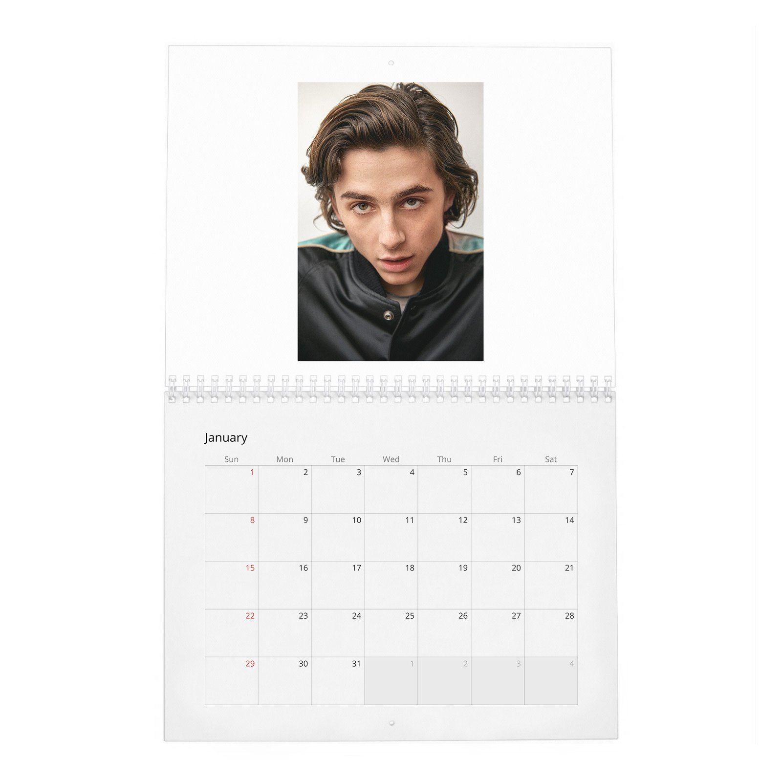 Timothée Chalamet - The Arrival Of 2027 Wall Calendar