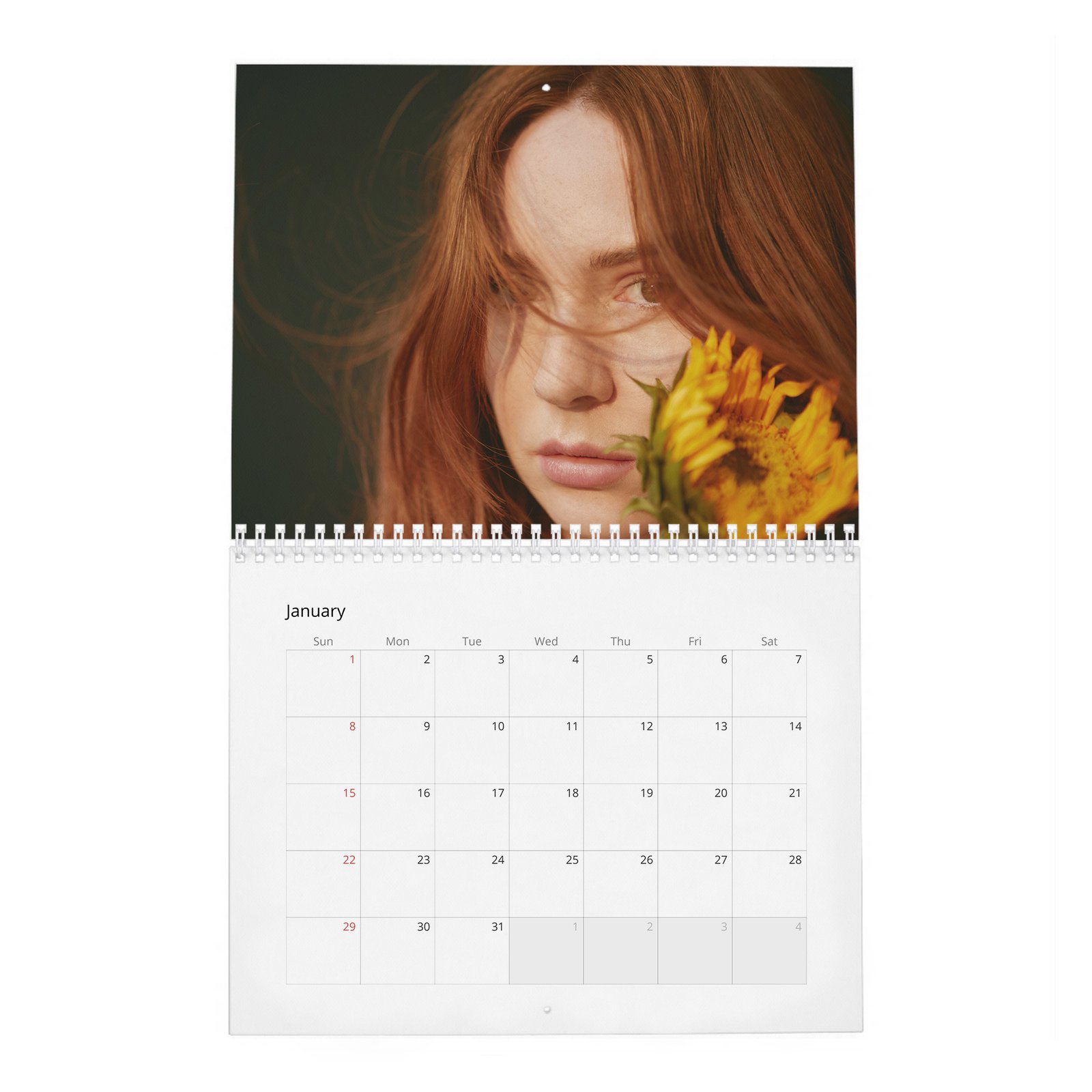 01 Karen Gillan - Comfortable Improvising 2027 Wall Calendar
