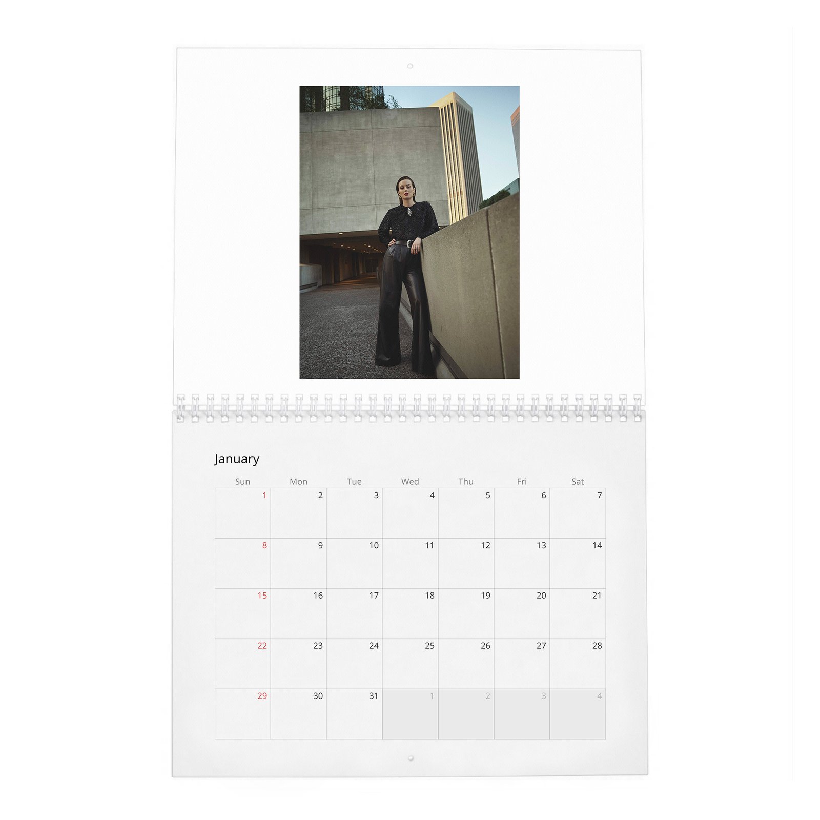 01 Leighton Meester - The Next Episode 2027 Wall Calendar