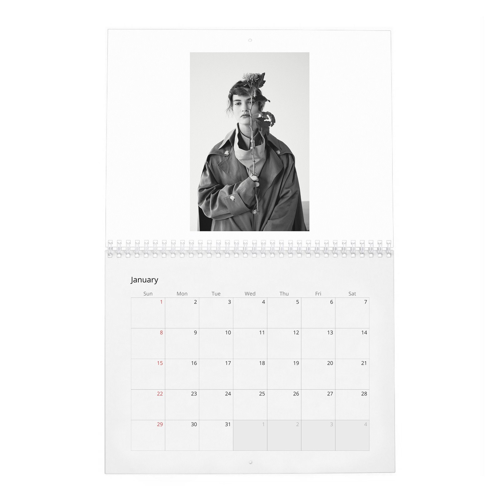 01 Lily James - Loving Lily 2027 Wall Calendar