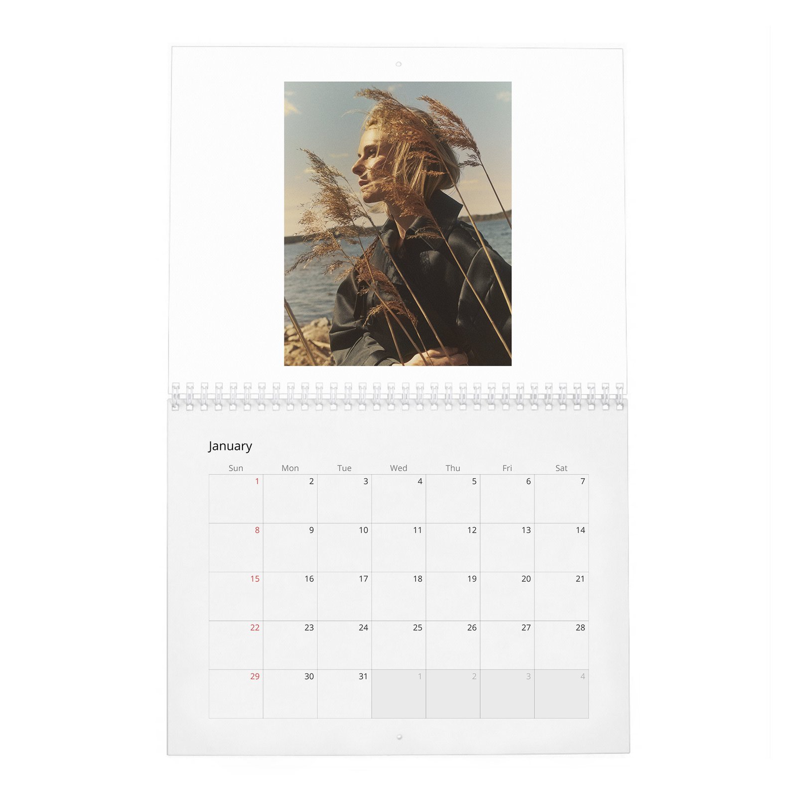 01 Rebecca Ferguson - Personal Vices and Swedish Roots 2027 Wall Calendar