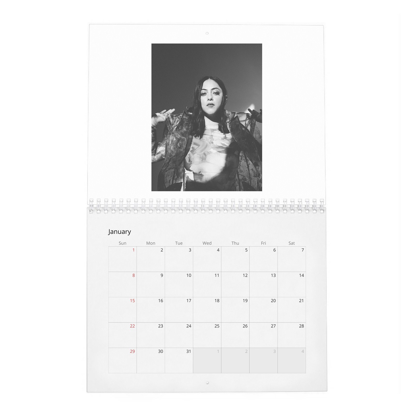 01 Rosa Salazar - A New Cherry Flavor 2027 Wall Calendar