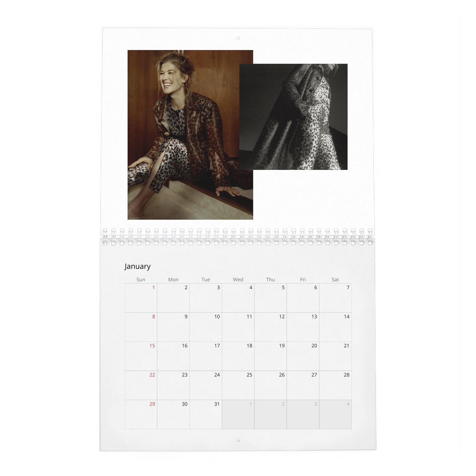01 Rosamund Pike - Flaunt 2027 Wall Calendar