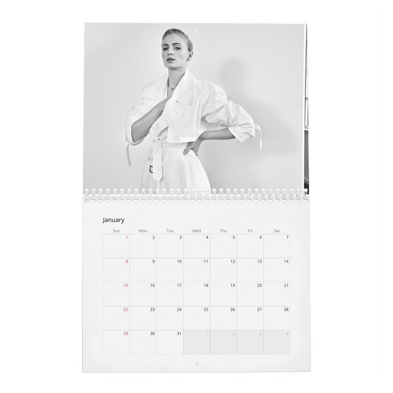01 Sophie Turner - The North Star 2027 Wall Calendar