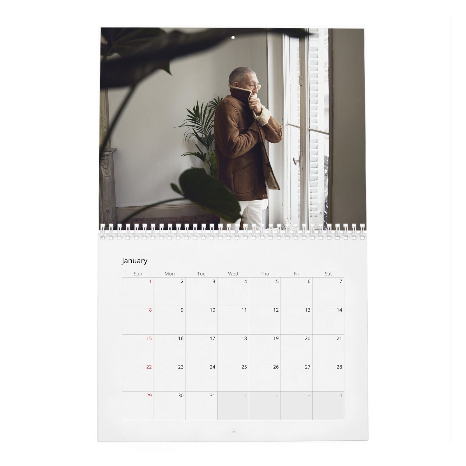 01 Vincent Cassel - Mr. Vincent Cassel 2027 Wall Calendar